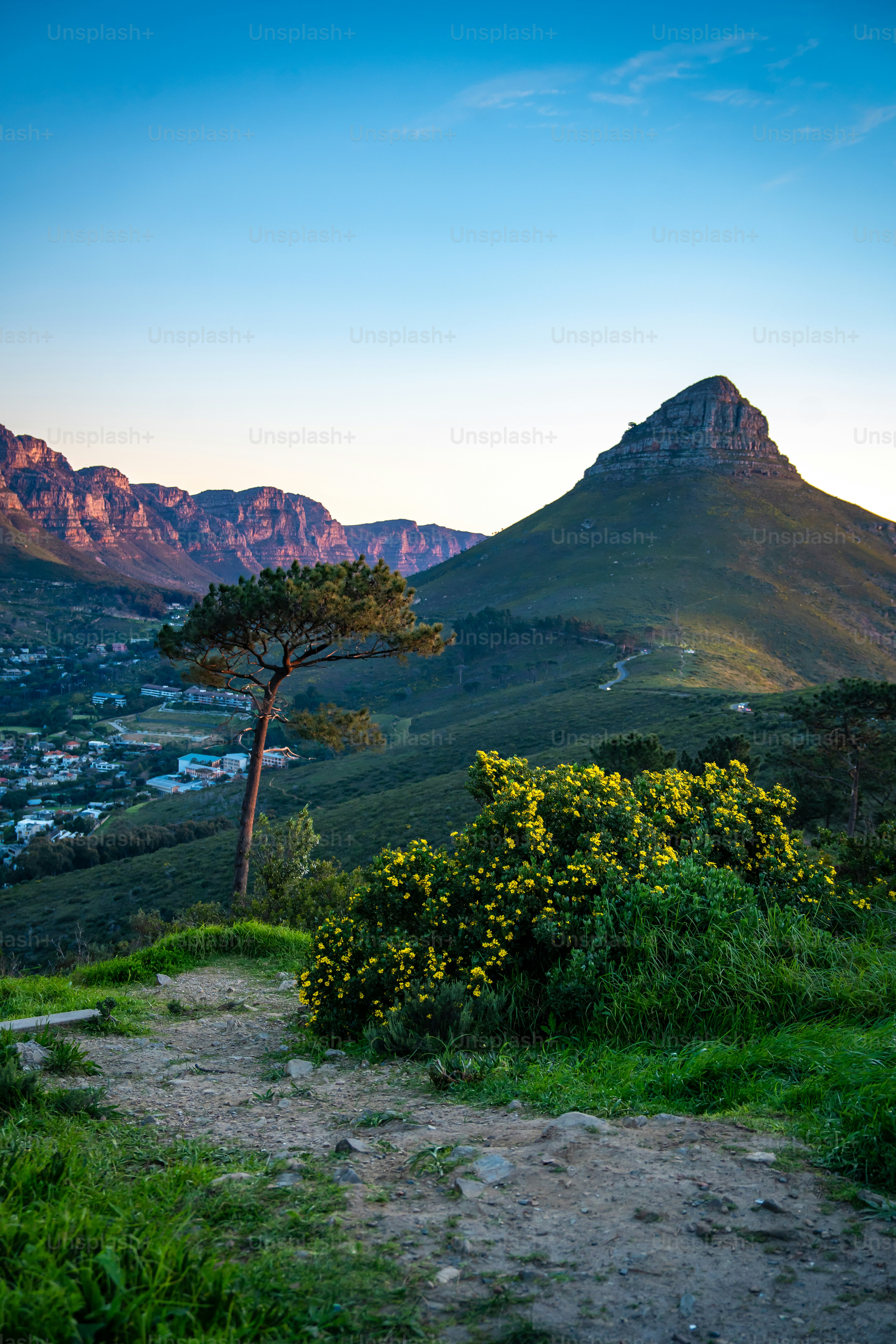 Signal Hill sunset viewpoint over Cape Town in Western Cape, South Africa. High quality photo