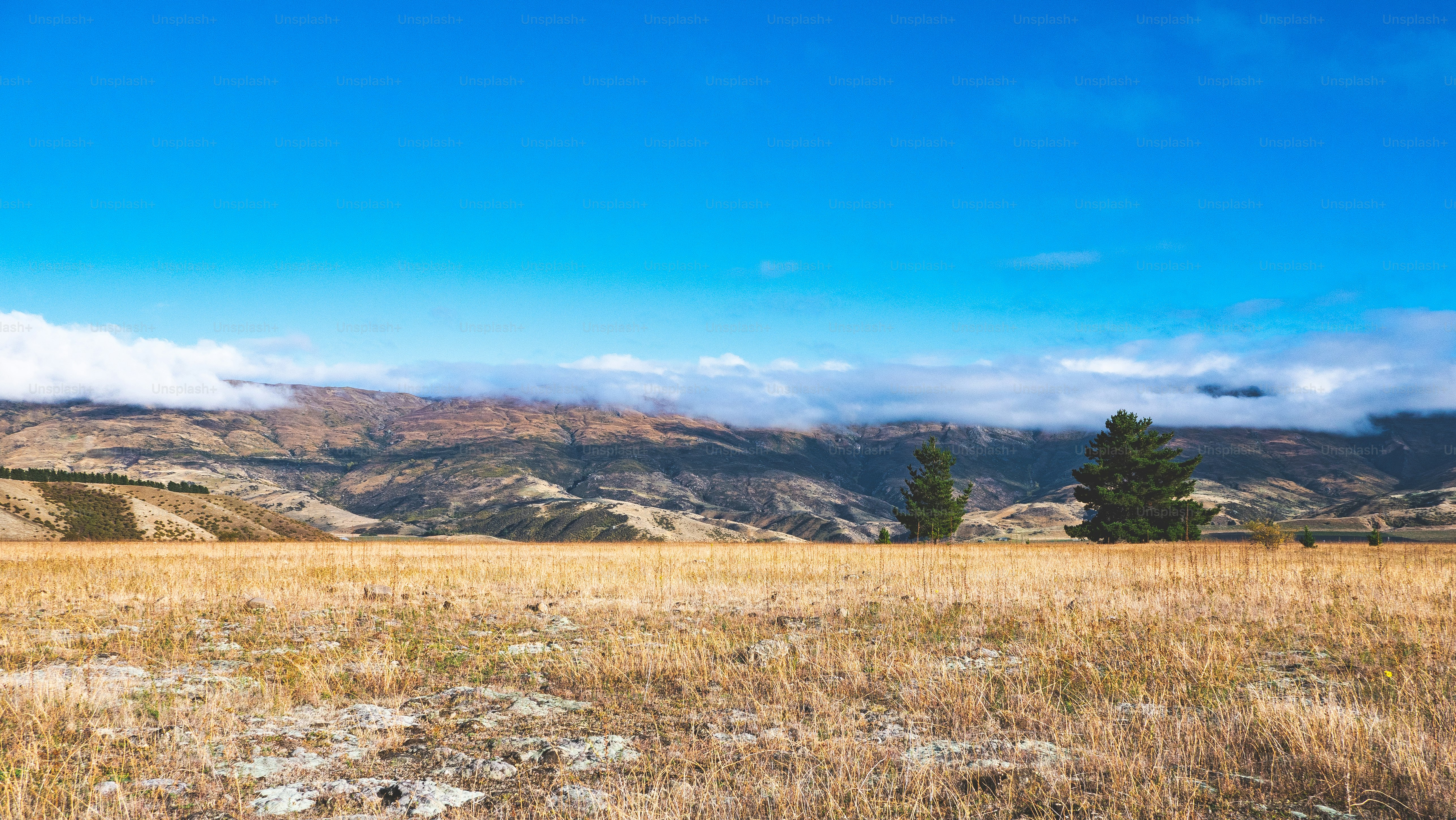 Gorgeous scenery cromwell new zealand landscape hills yellow grass blue sky bright clear day