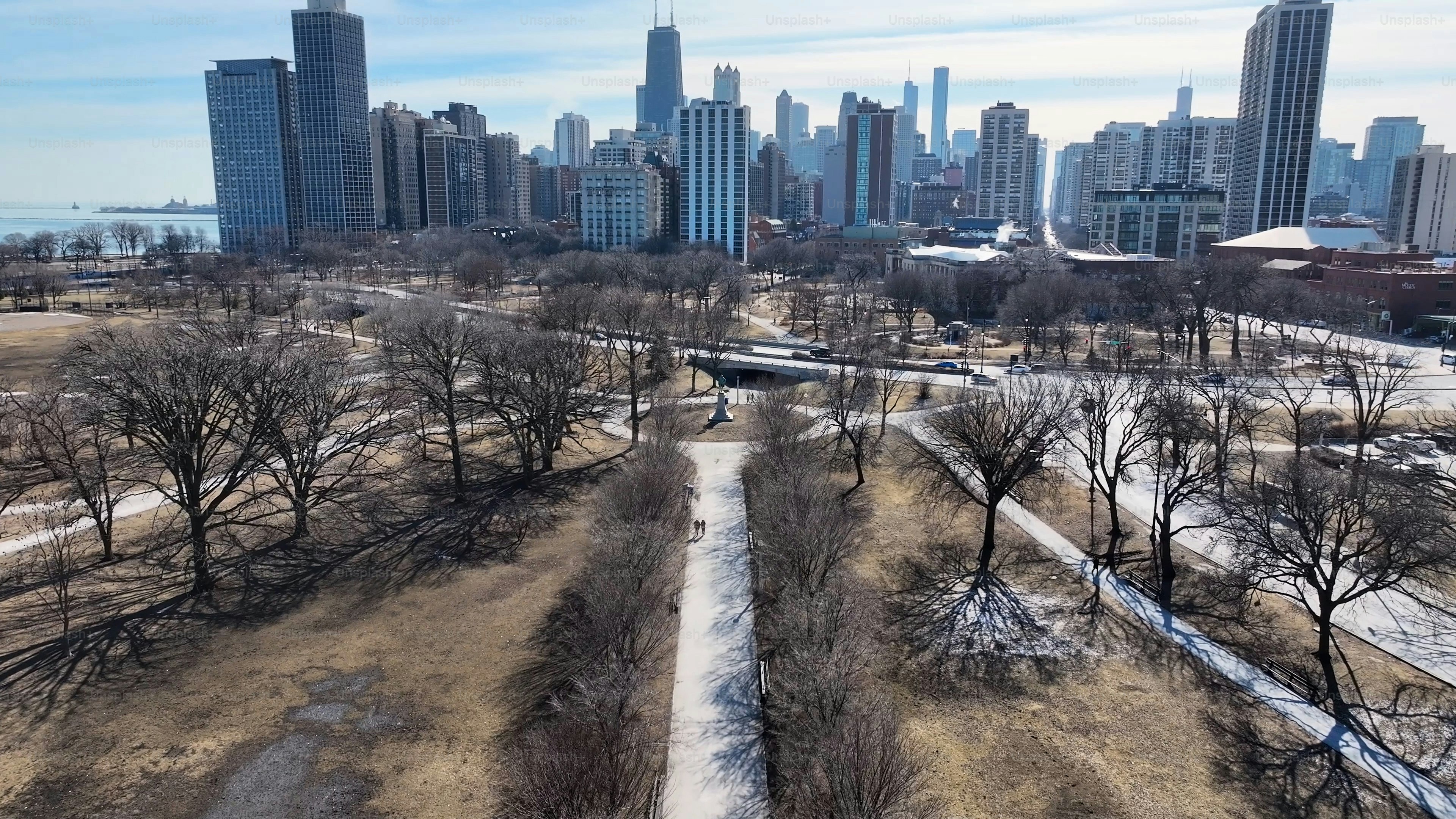 Lincoln Park At Chicago In Illinois United States. Downtown District. Nature Park Aerial View. Lincoln Park At Illinois United States. Highrise Buildings Landscape. Stunning Winter Background.