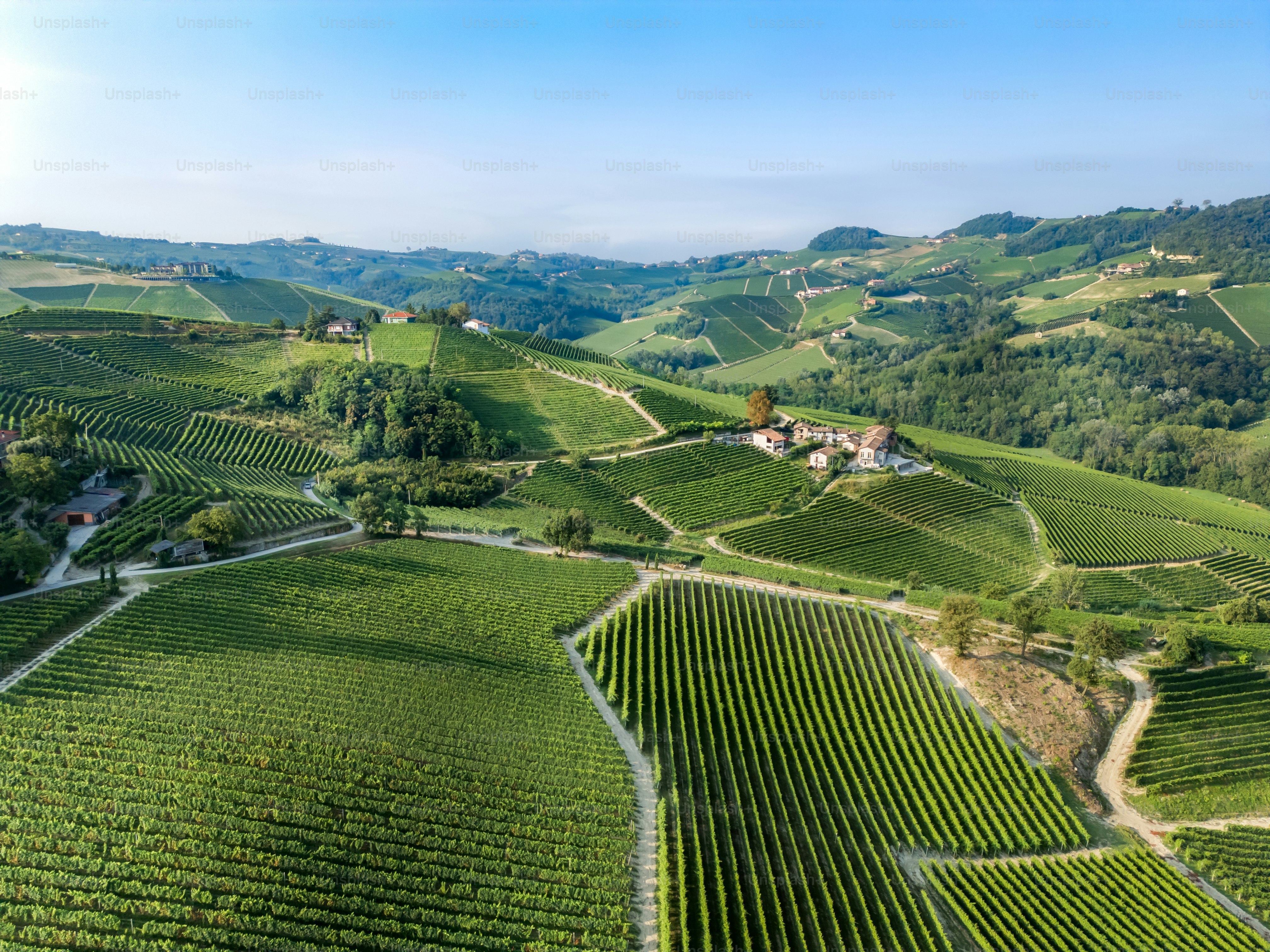 Serralunga d'Alba, vinhedos de drone, Piemonte