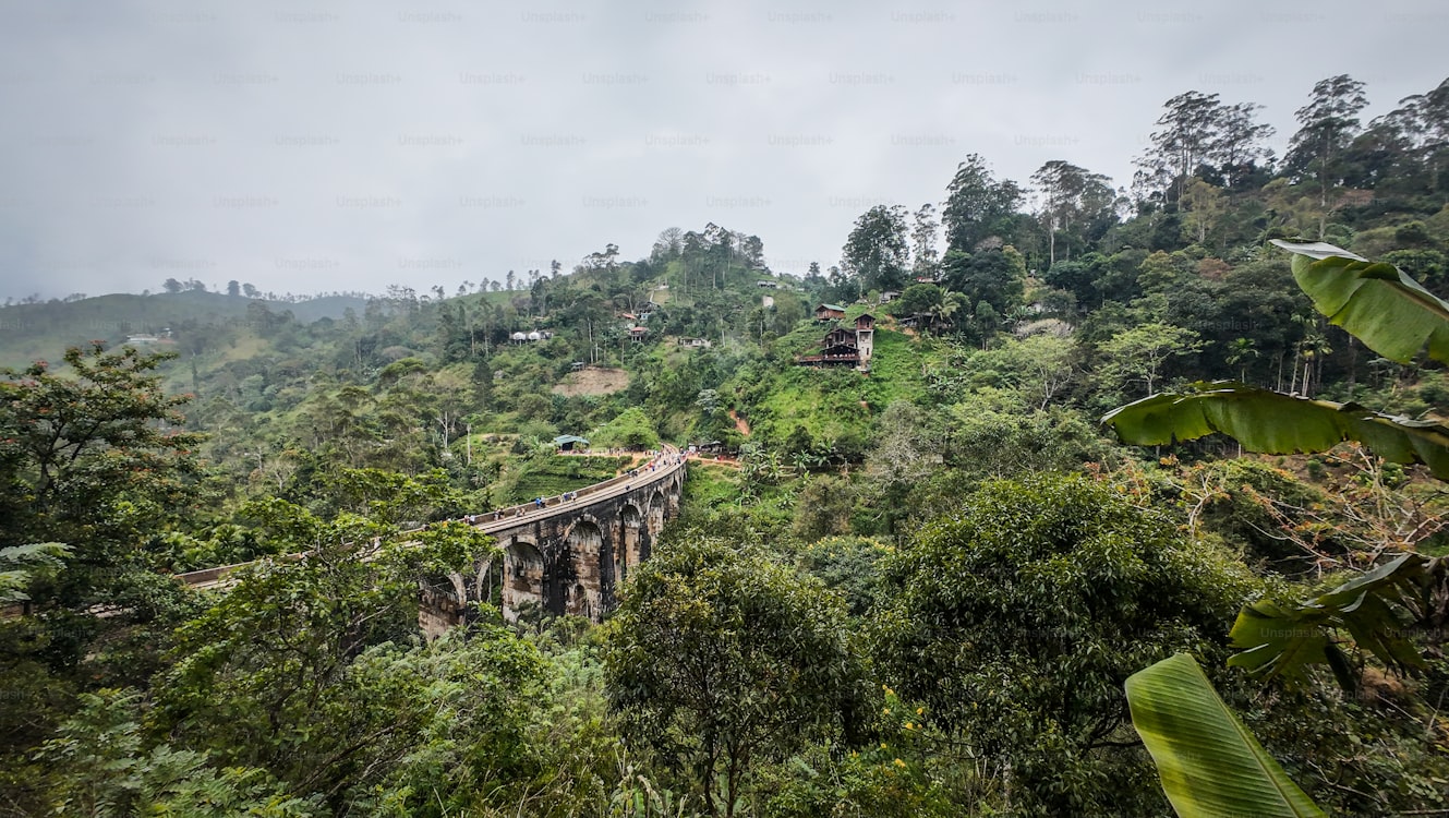 South India wildlife Tour-14 Nights - view 2