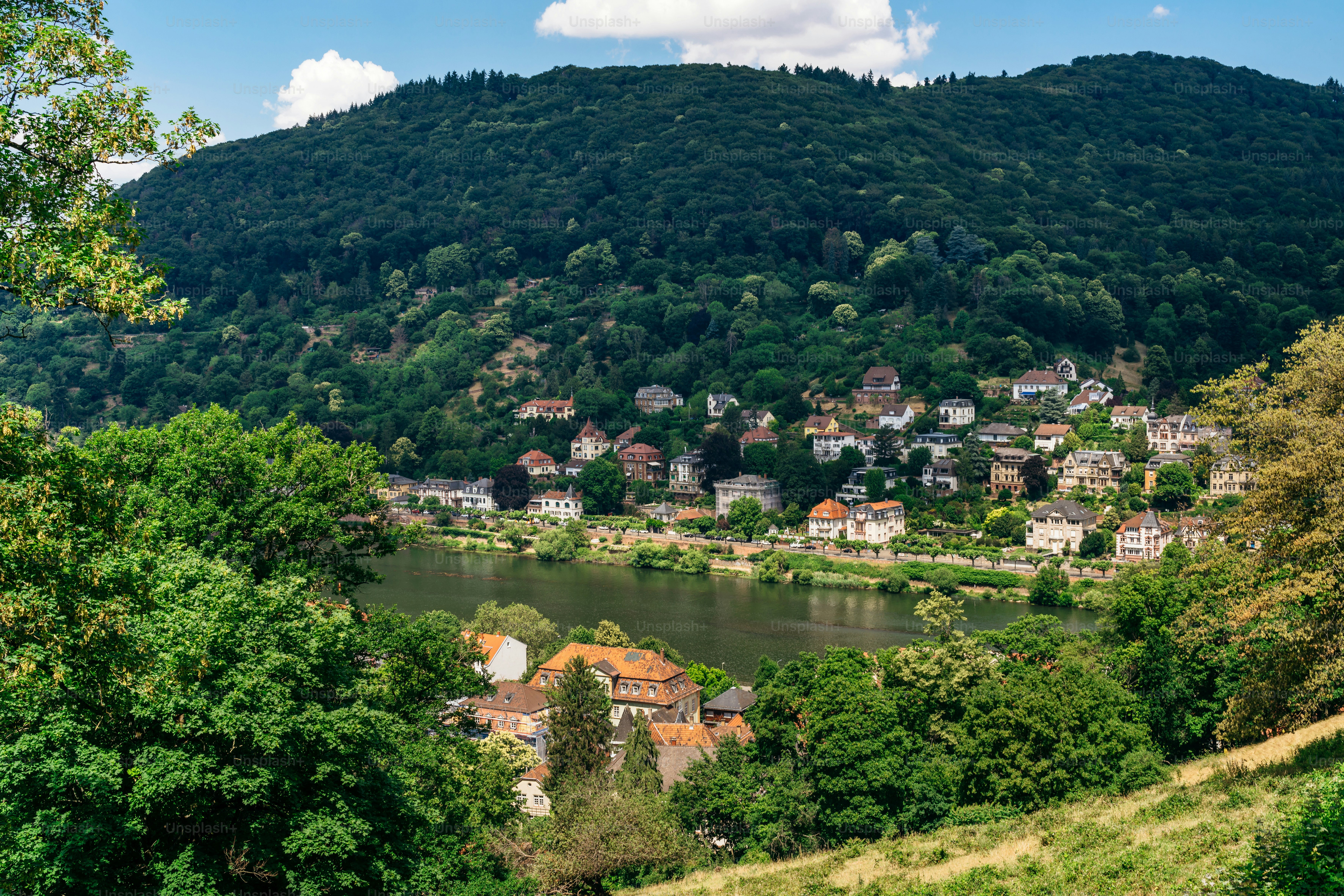 Ein malerischer Blick auf Heidelberg, Deutschland, mit traditionellen Häusern, der alten Brücke und saftig grünen Hügeln unter strahlend blauem Himmel.