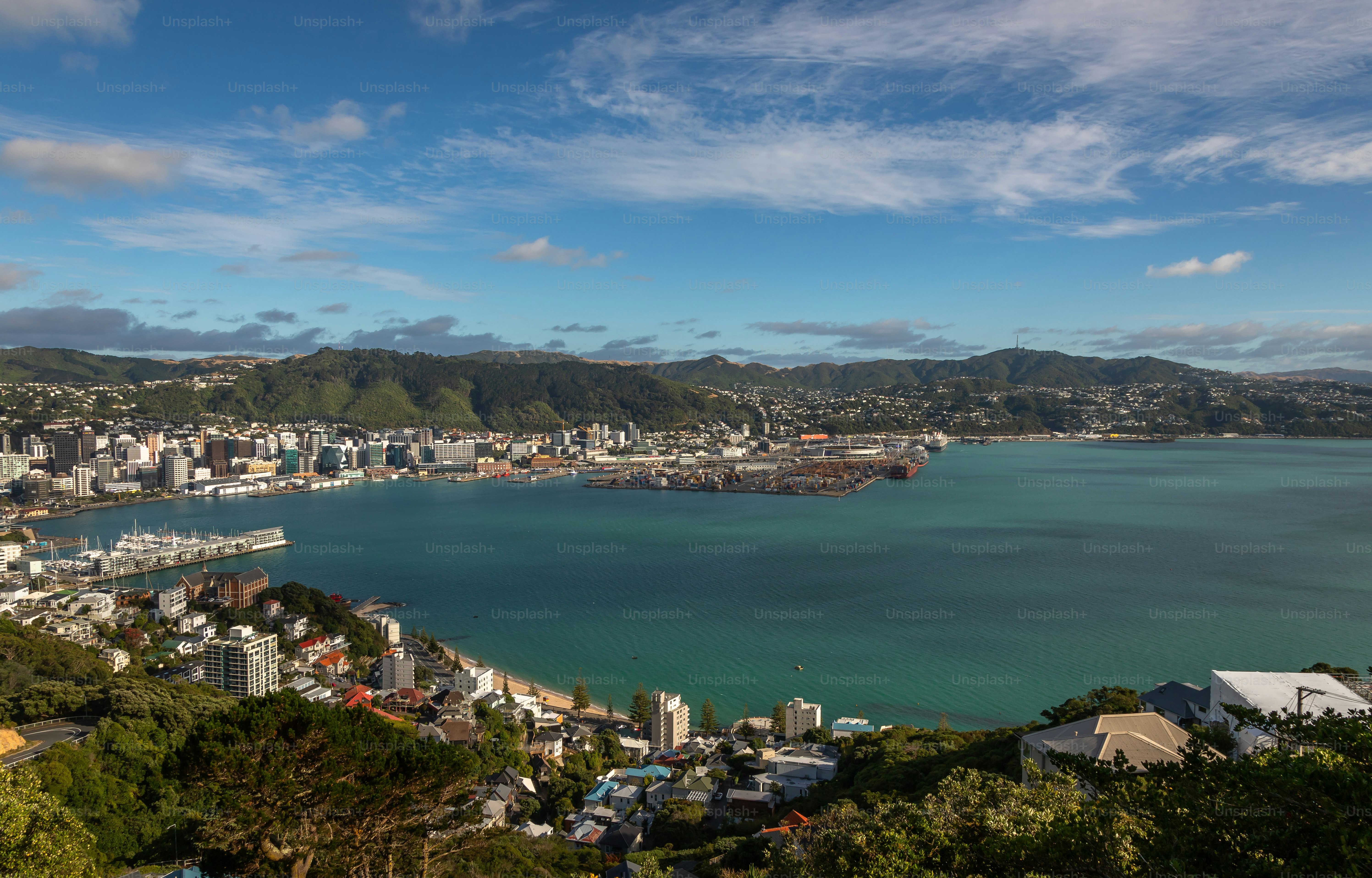 Esposizione della capitale della Nuova Zelanda Wellington, vale a dire il suo Central Business District visto dal Monte Victoria, di giorno in una bella giornata di sole, Australia