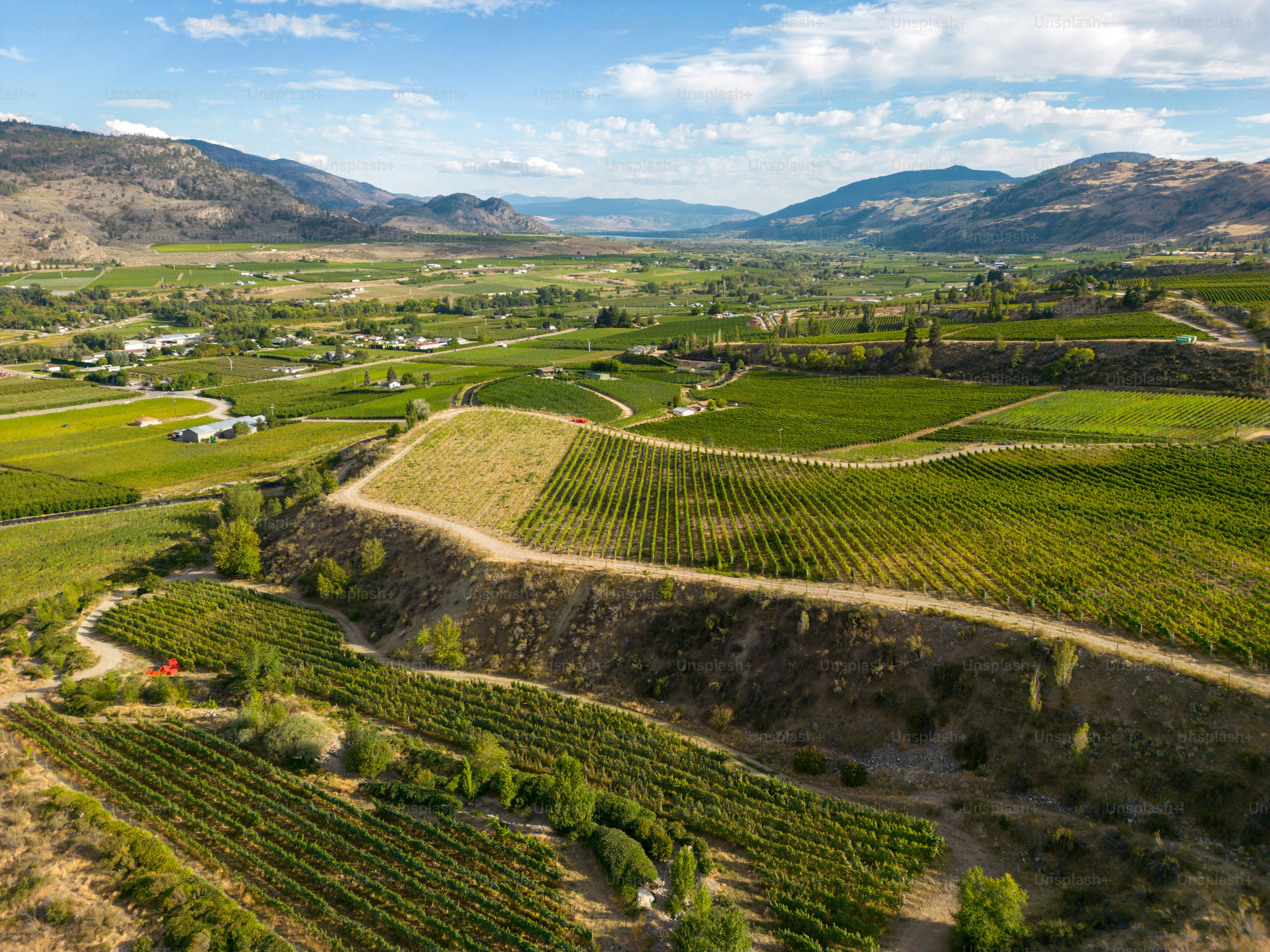 Drone aerial view Canadian landscape of an organic winery vineyard located in the Okanagan Valley in Oliver, British Columbia, Canada.