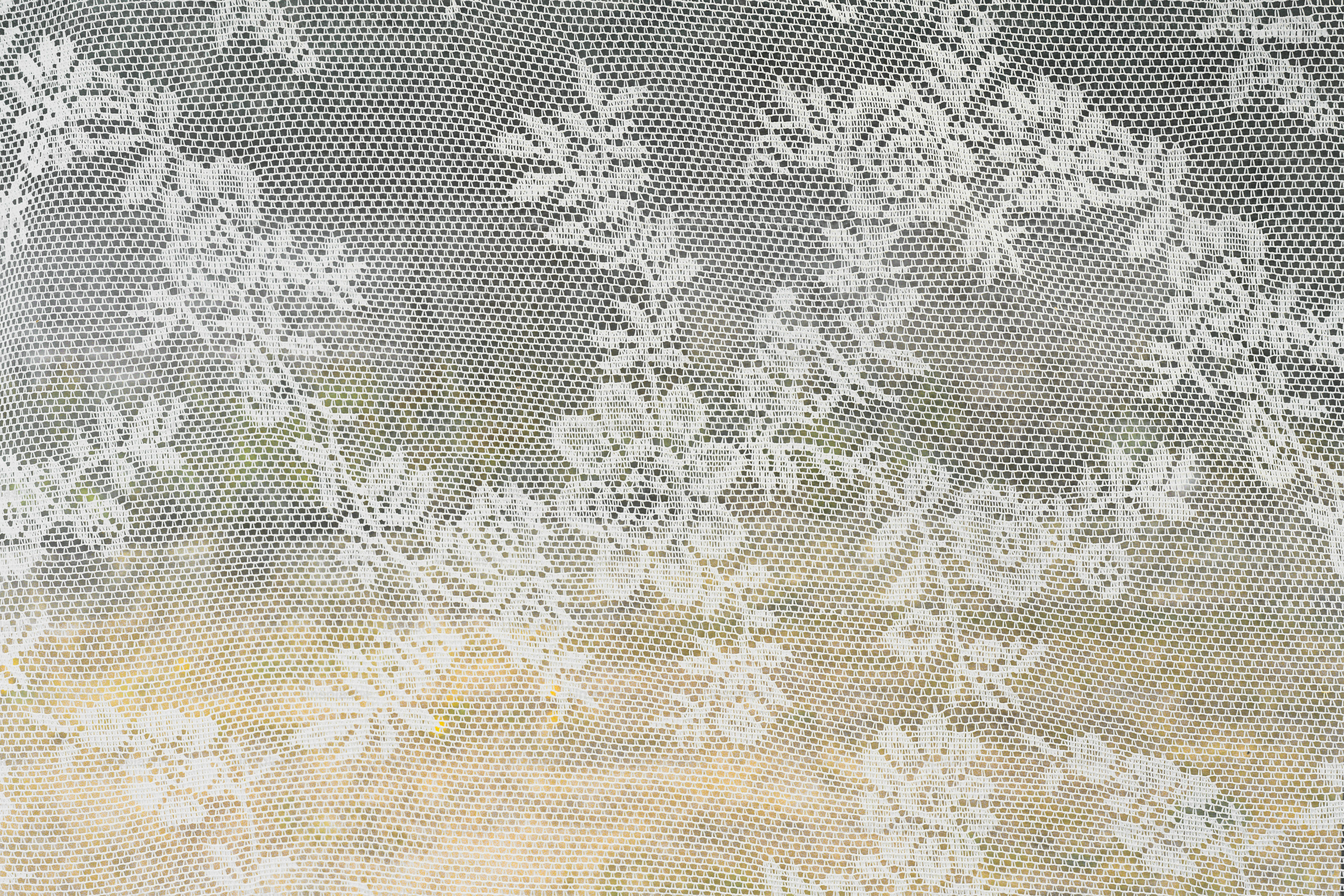 Delicate white floral lace pattern on light background photo – Background  Image on Unsplash, image size:3000x2000