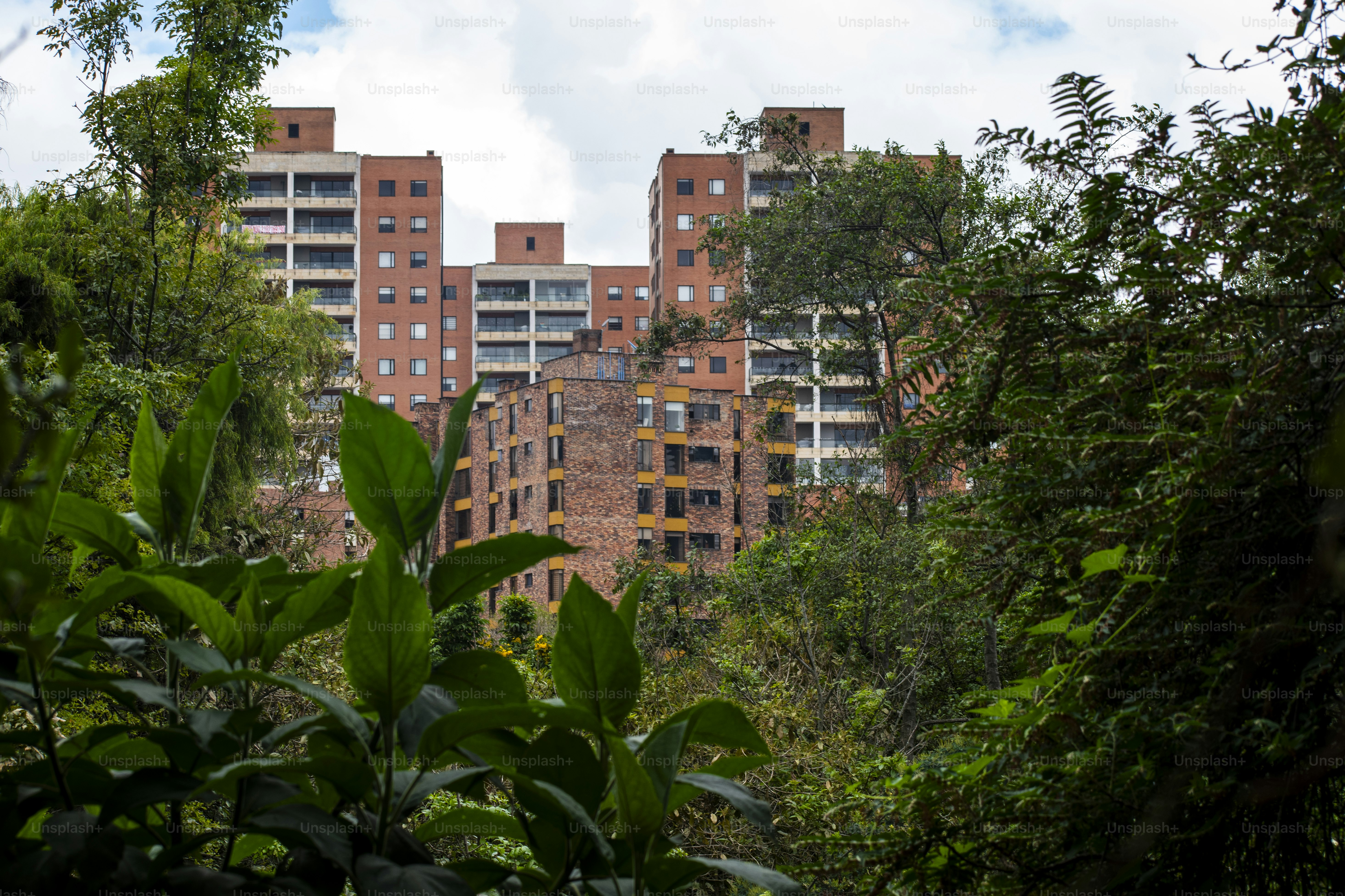 Vista de modernos edificios de apartamentos en medio de un exuberante entorno verde, destacando la conexión entre la vida urbana y el entorno natural