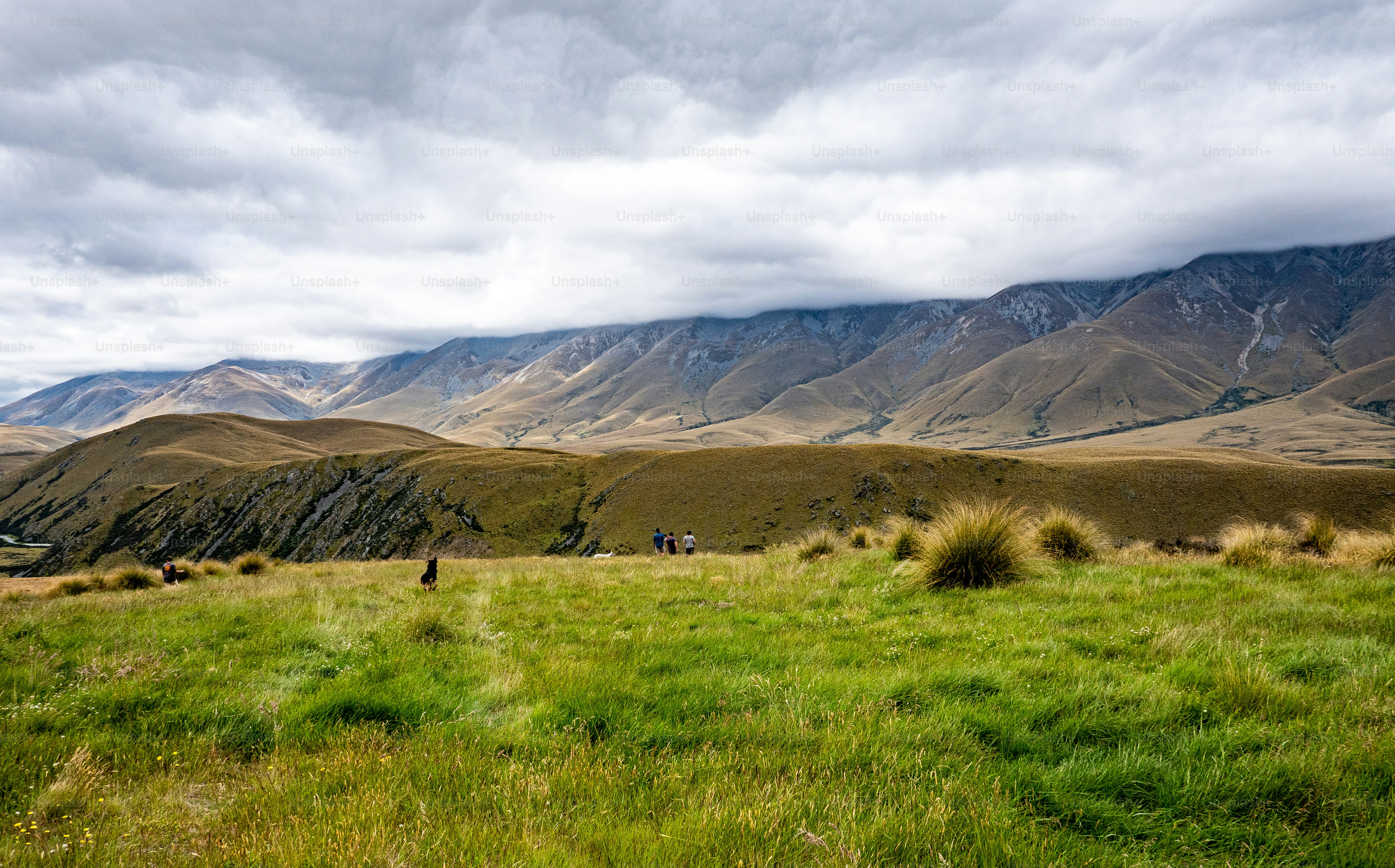 Beautiful mountainous landscape hills new zealand summer green yellow ...