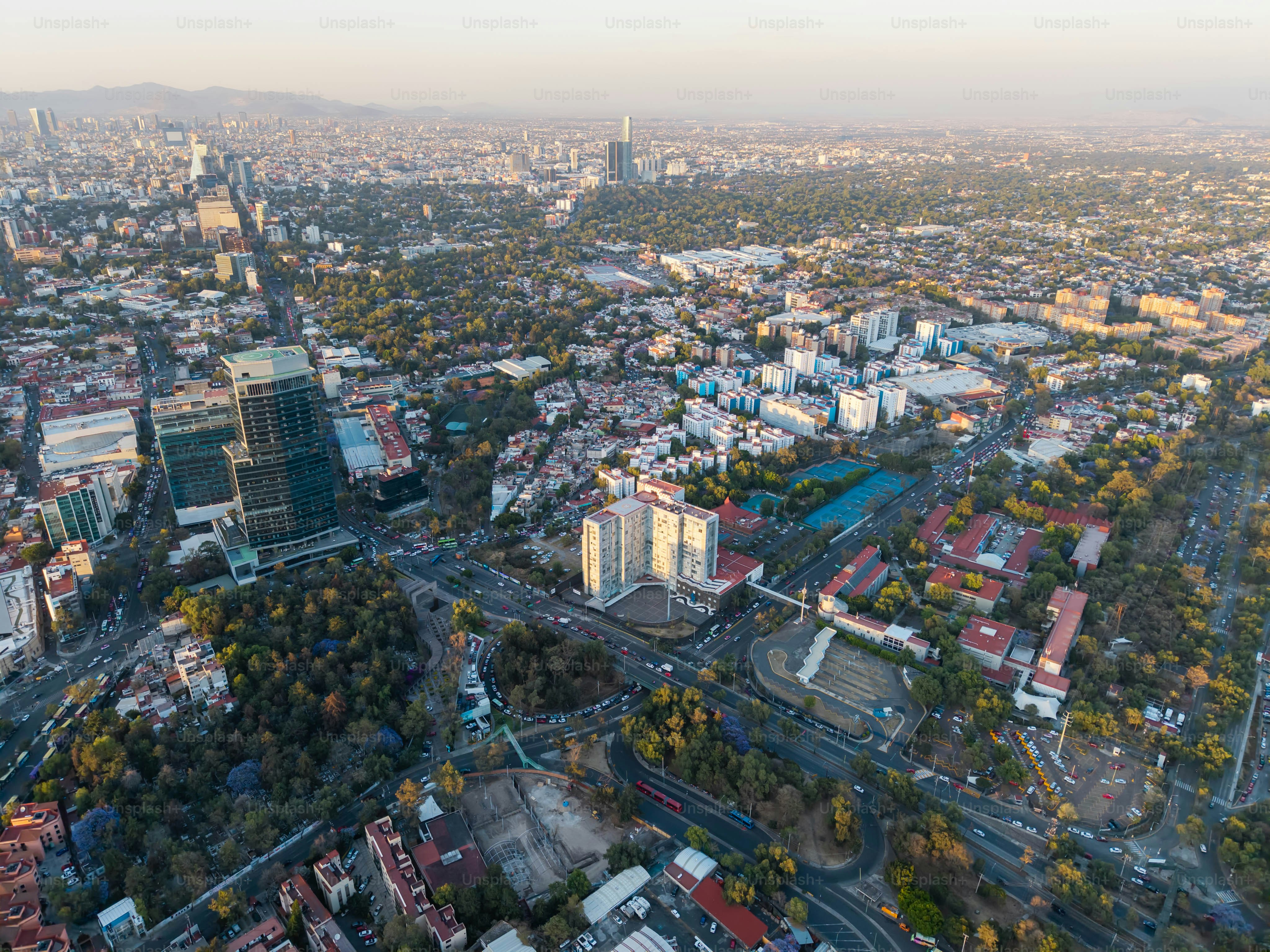 Photos of spring afternoons in the south of CDMX