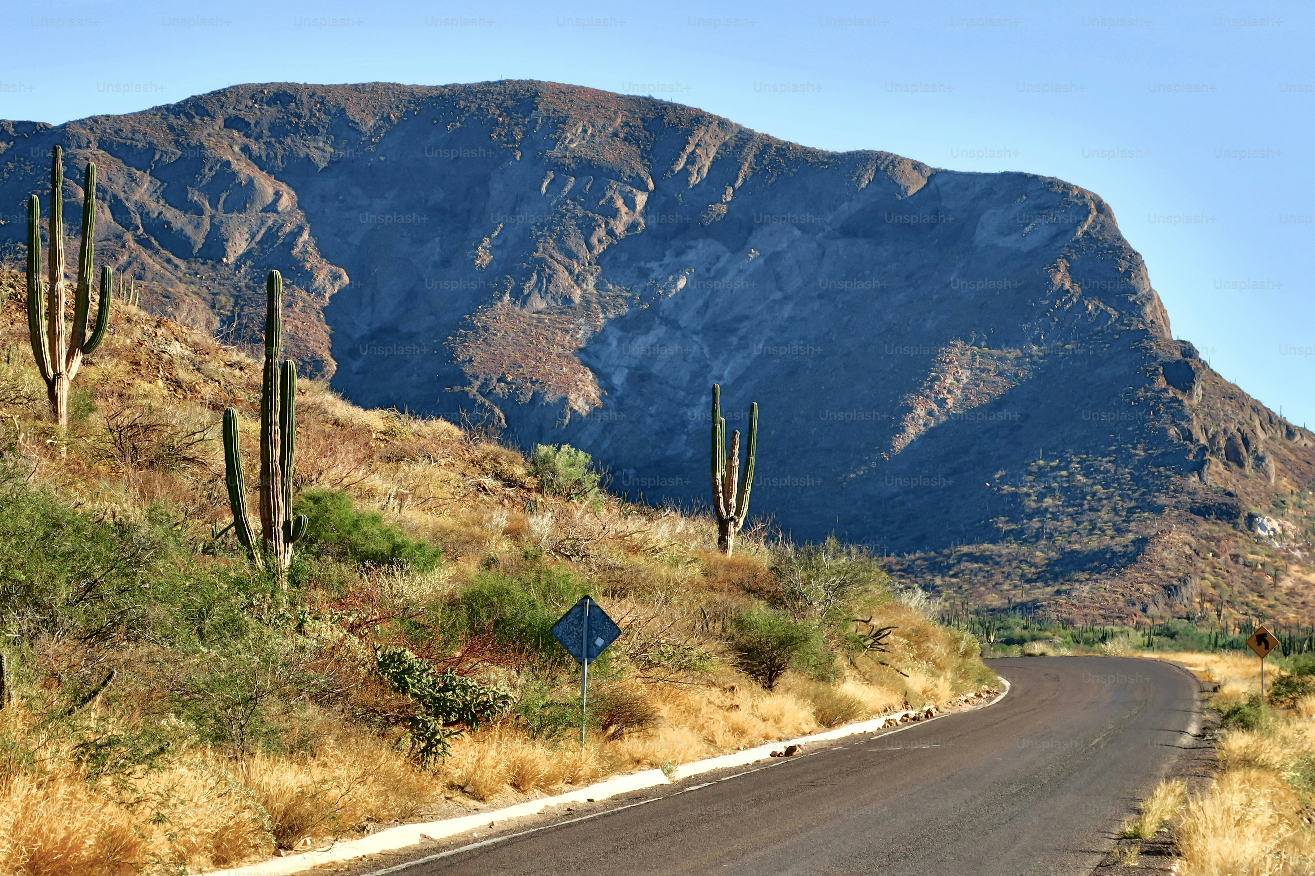 メキシコ、バハカリフォルニア。