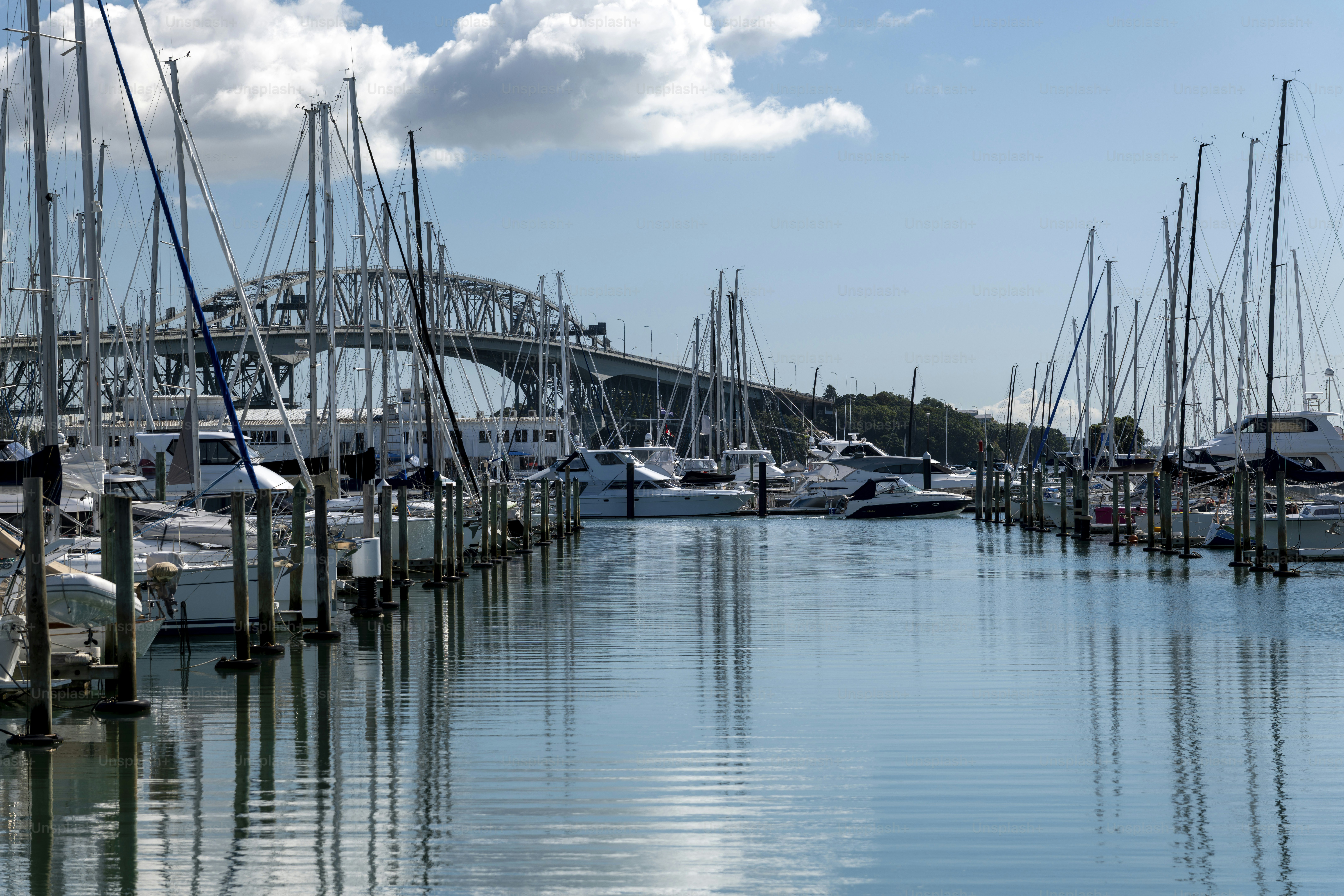 Westhaven Marina, Auckland, Nuova Zelanda