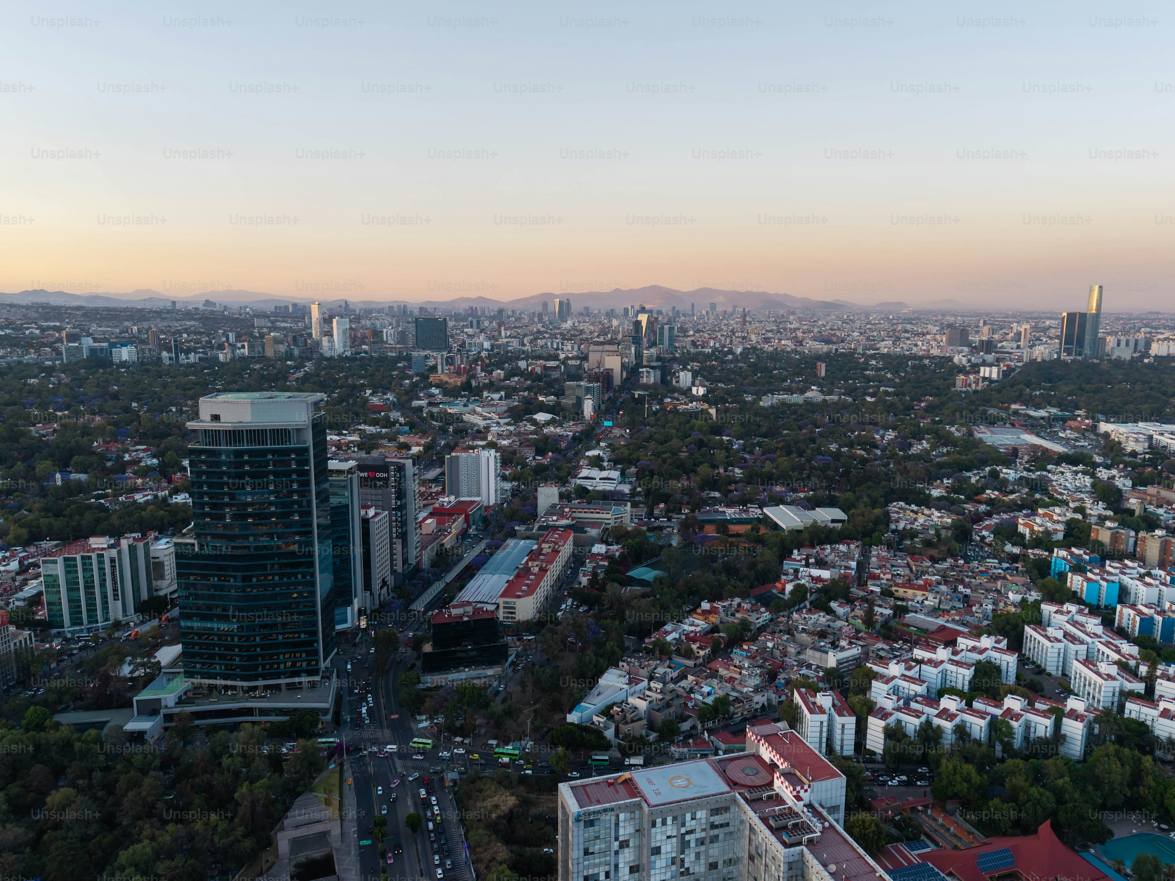 Photos of spring afternoons in the south of CDMX