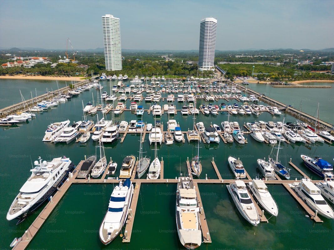 A scorched landscape where war has left nature as its silent, uncounted casualty