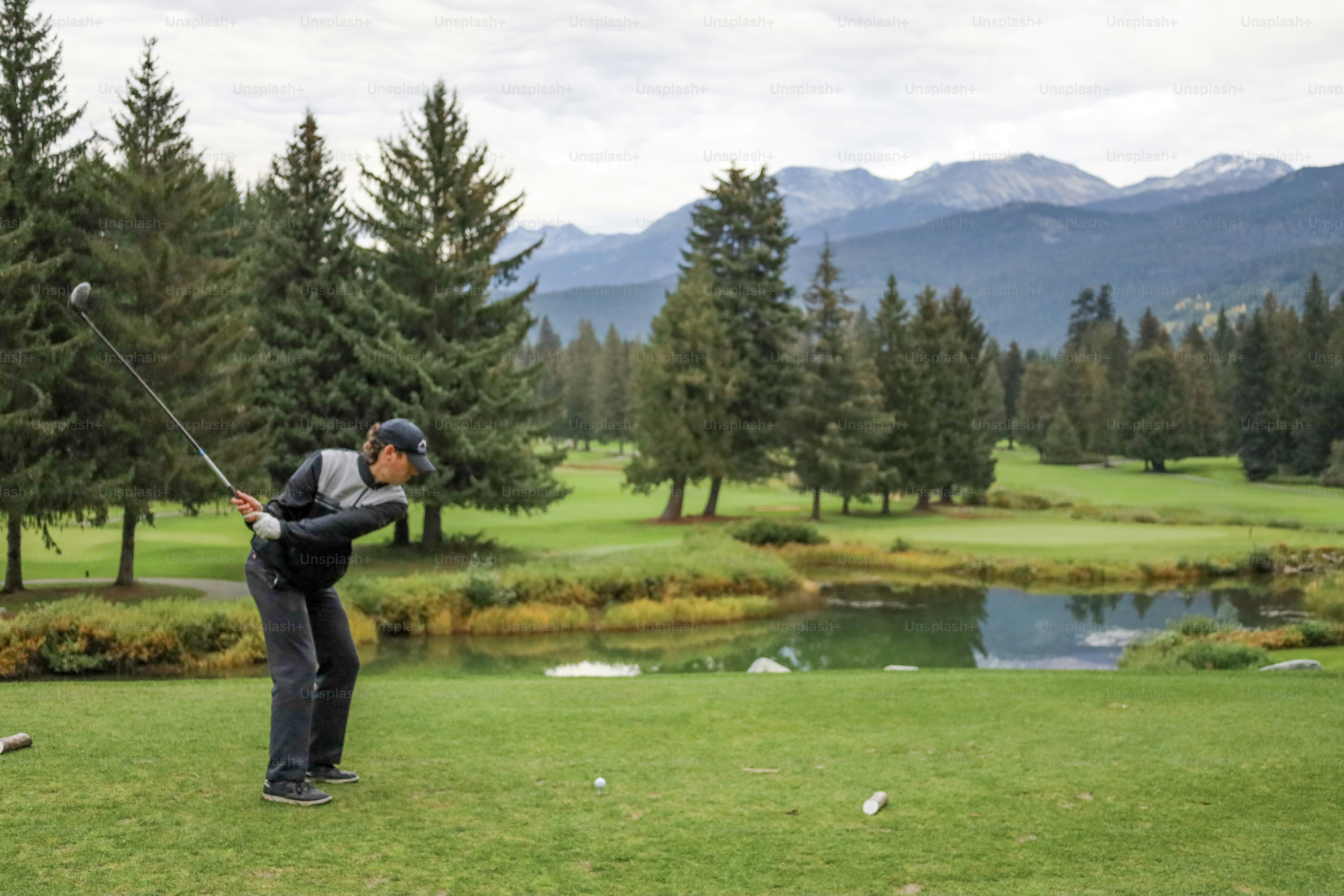 Beautiful landscaped garden