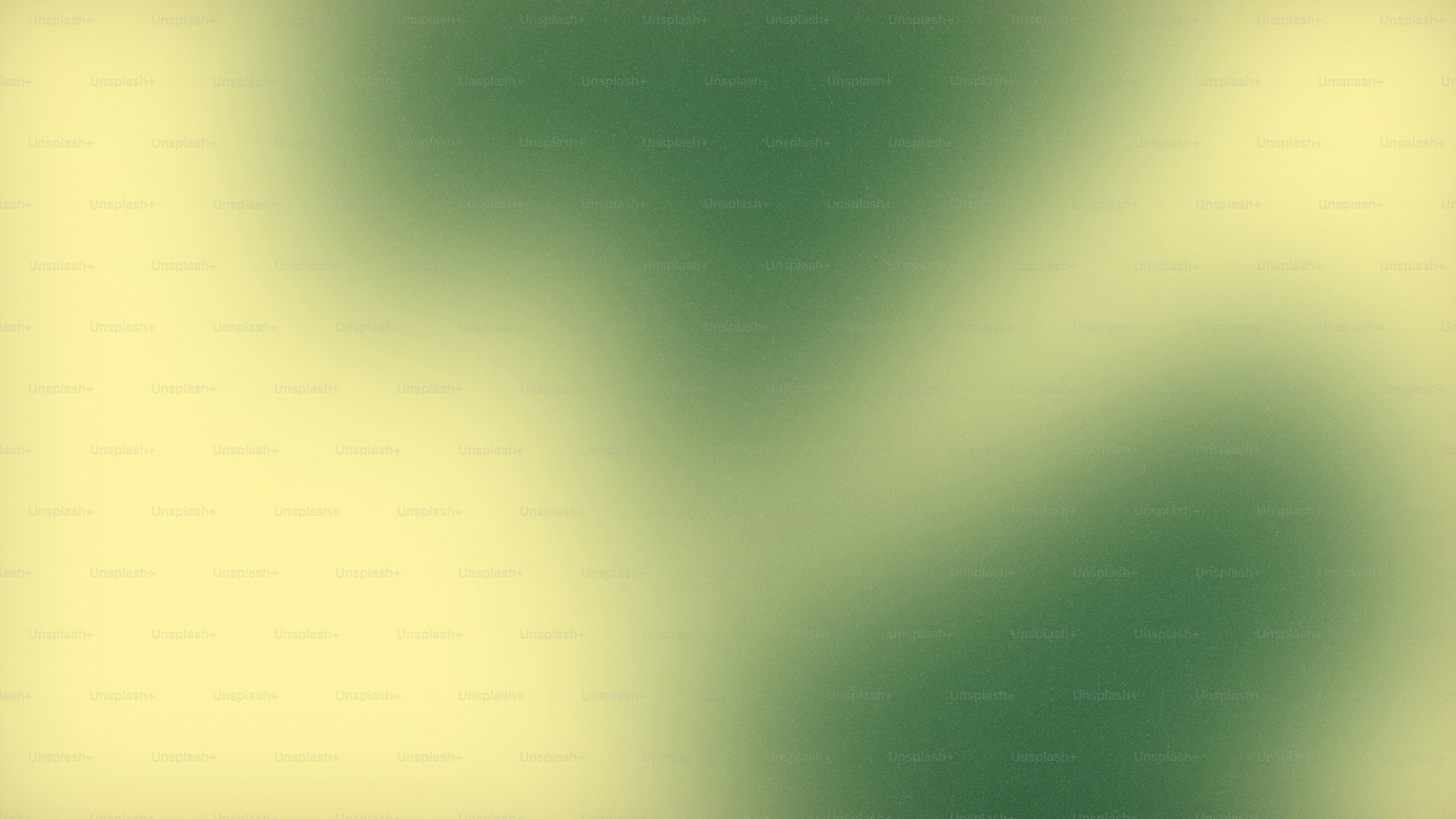 Green and yellow blended background.