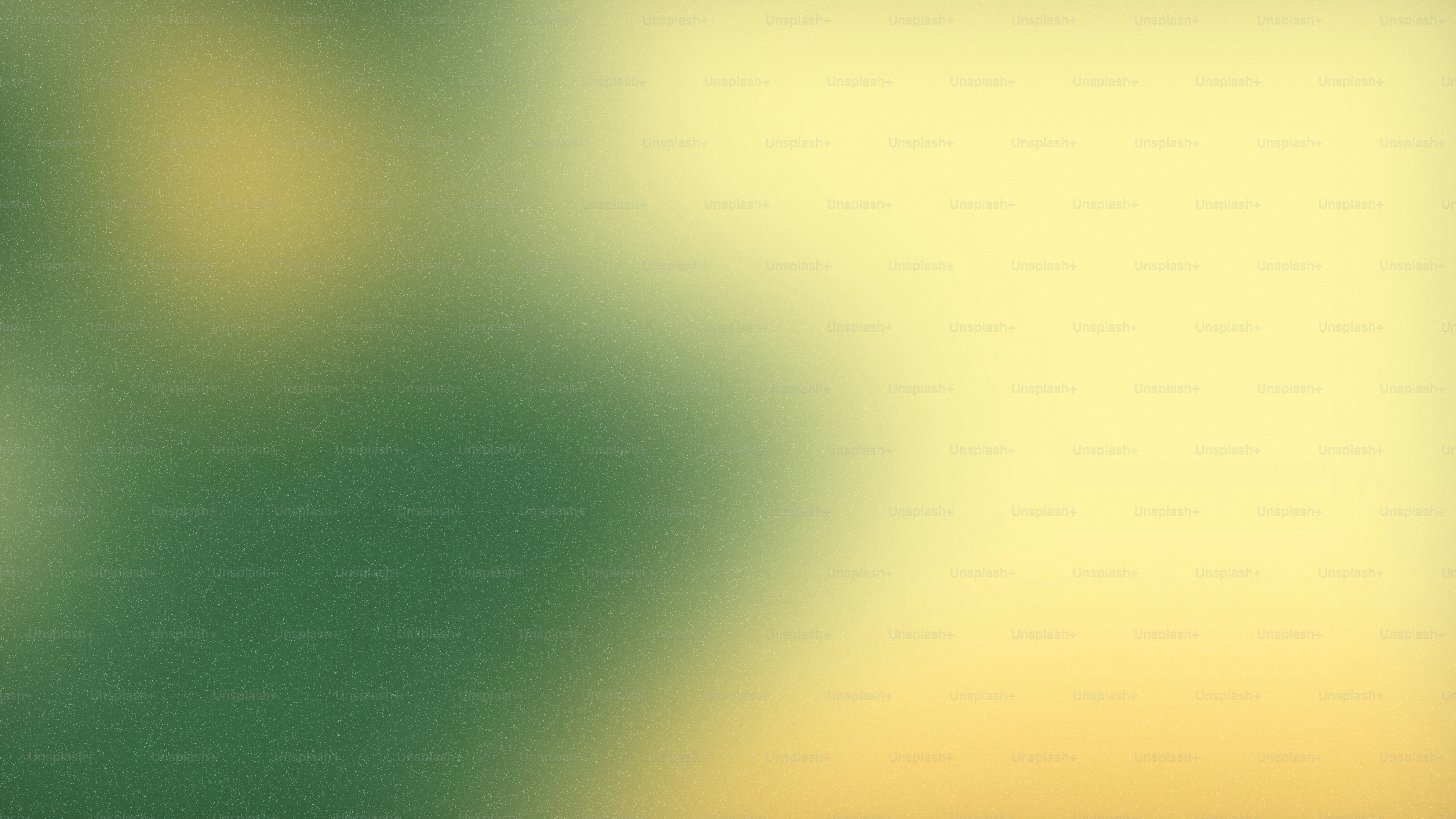 premium_photo-1754383721465-282faaca3cb3?ixid=M3wxMjA3fDB8MXxzZWFyY2h8NHx8Ym9rZXB8ZW58MHx8fHwxNzY0NzM5NjkwfDA\u0026ixlib=rb-4.1.0