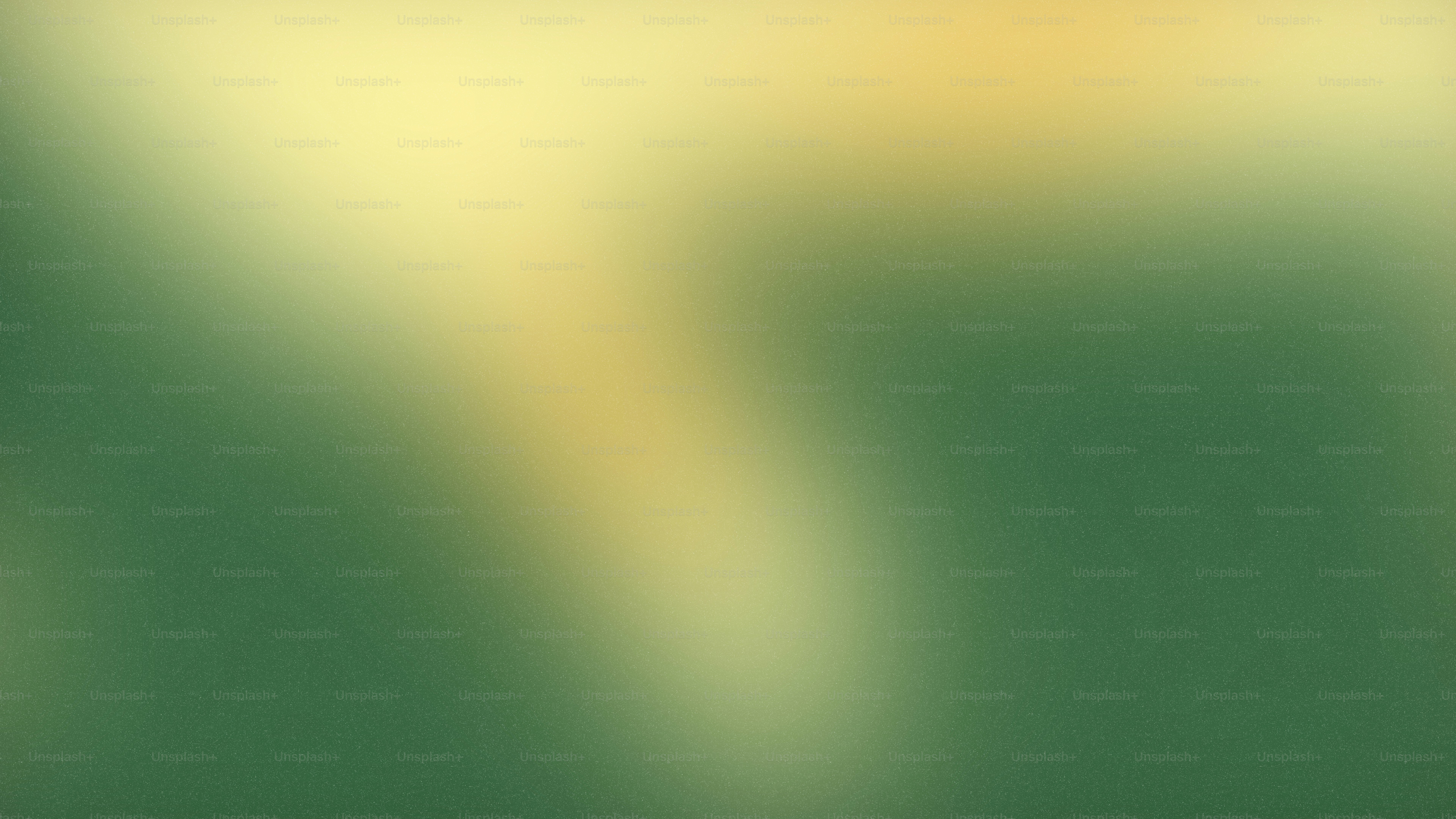 Green and yellow abstract blurry background.