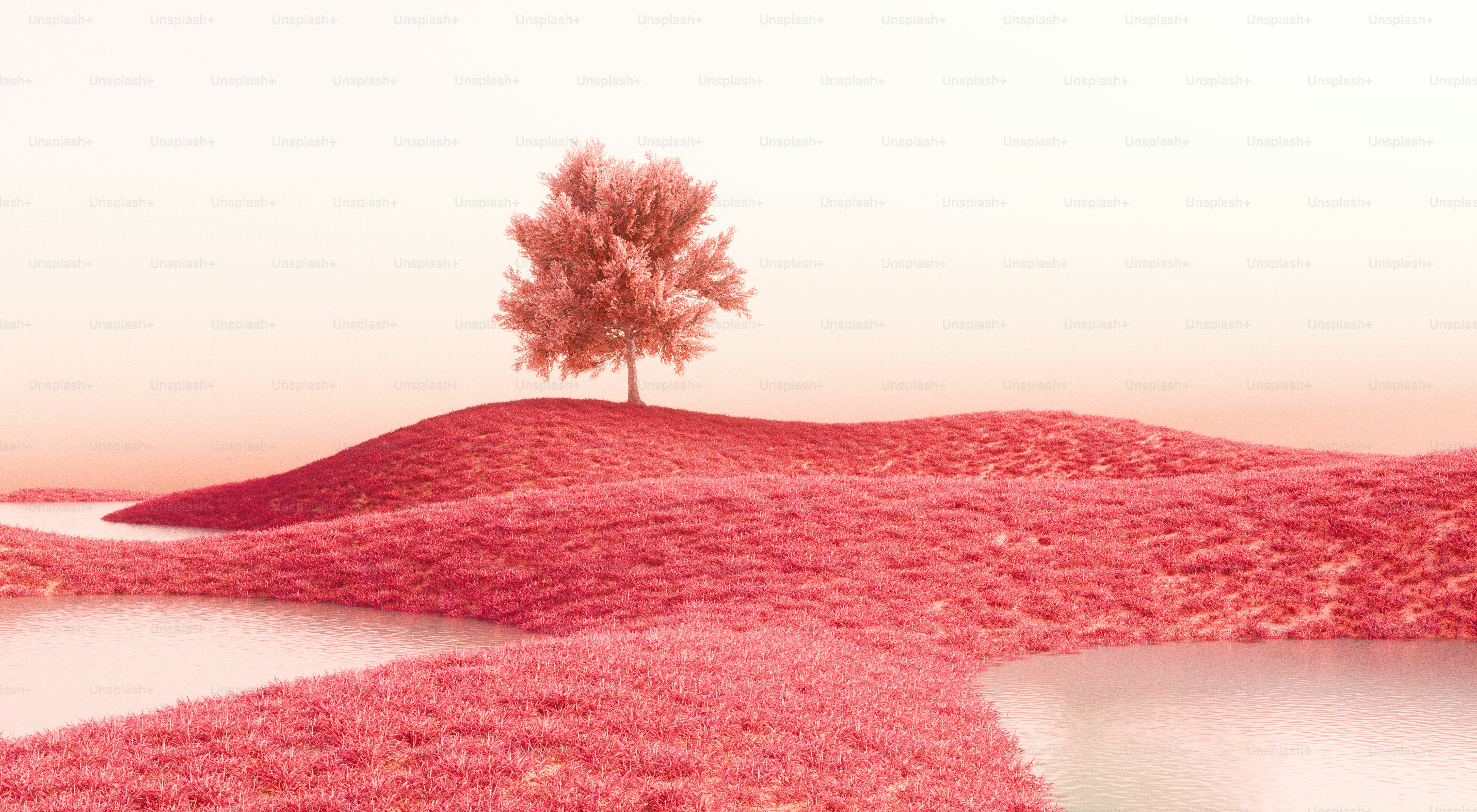 Un arbre rose se dresse sur une colline.