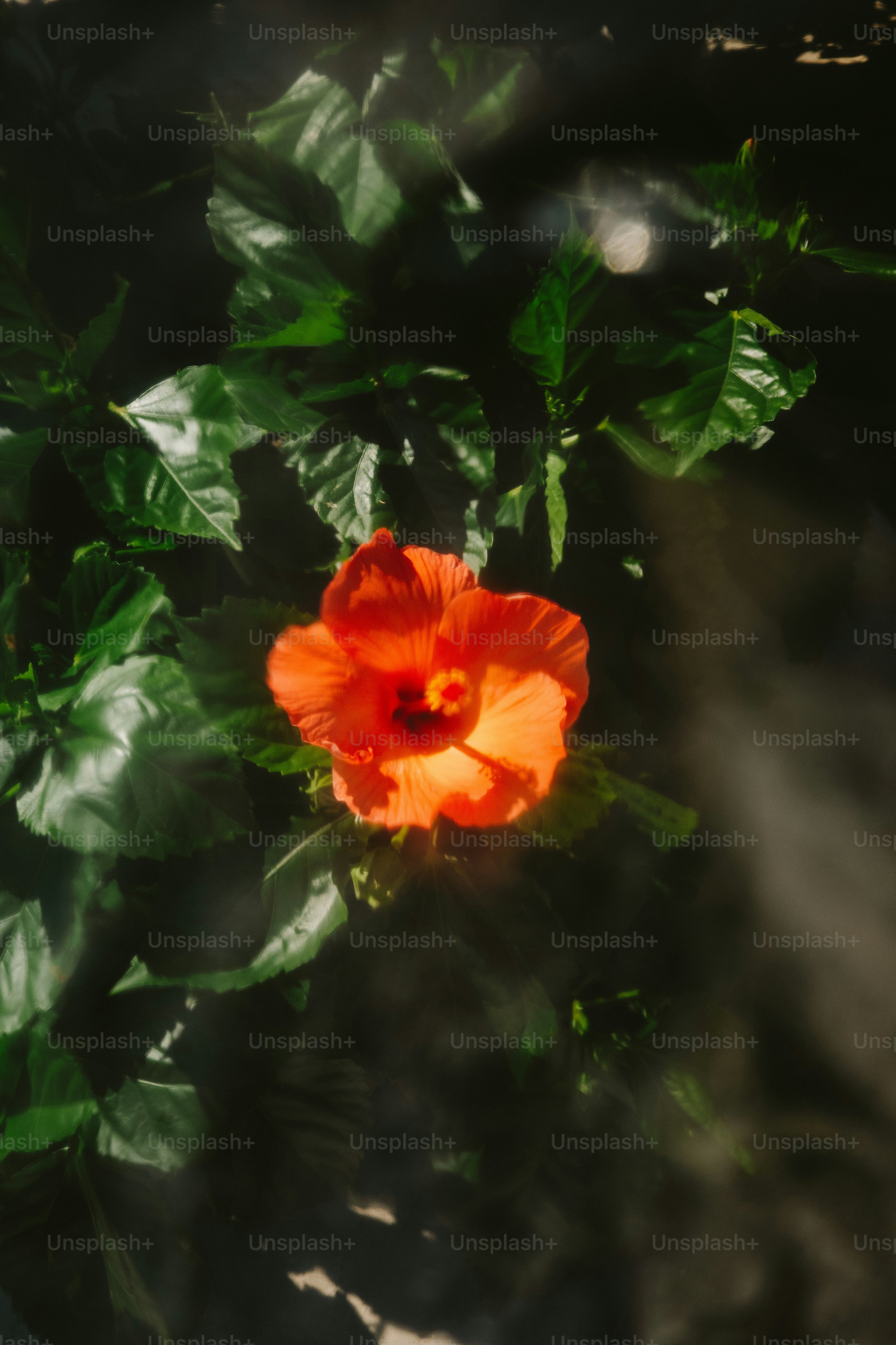 AI Ethics in Business