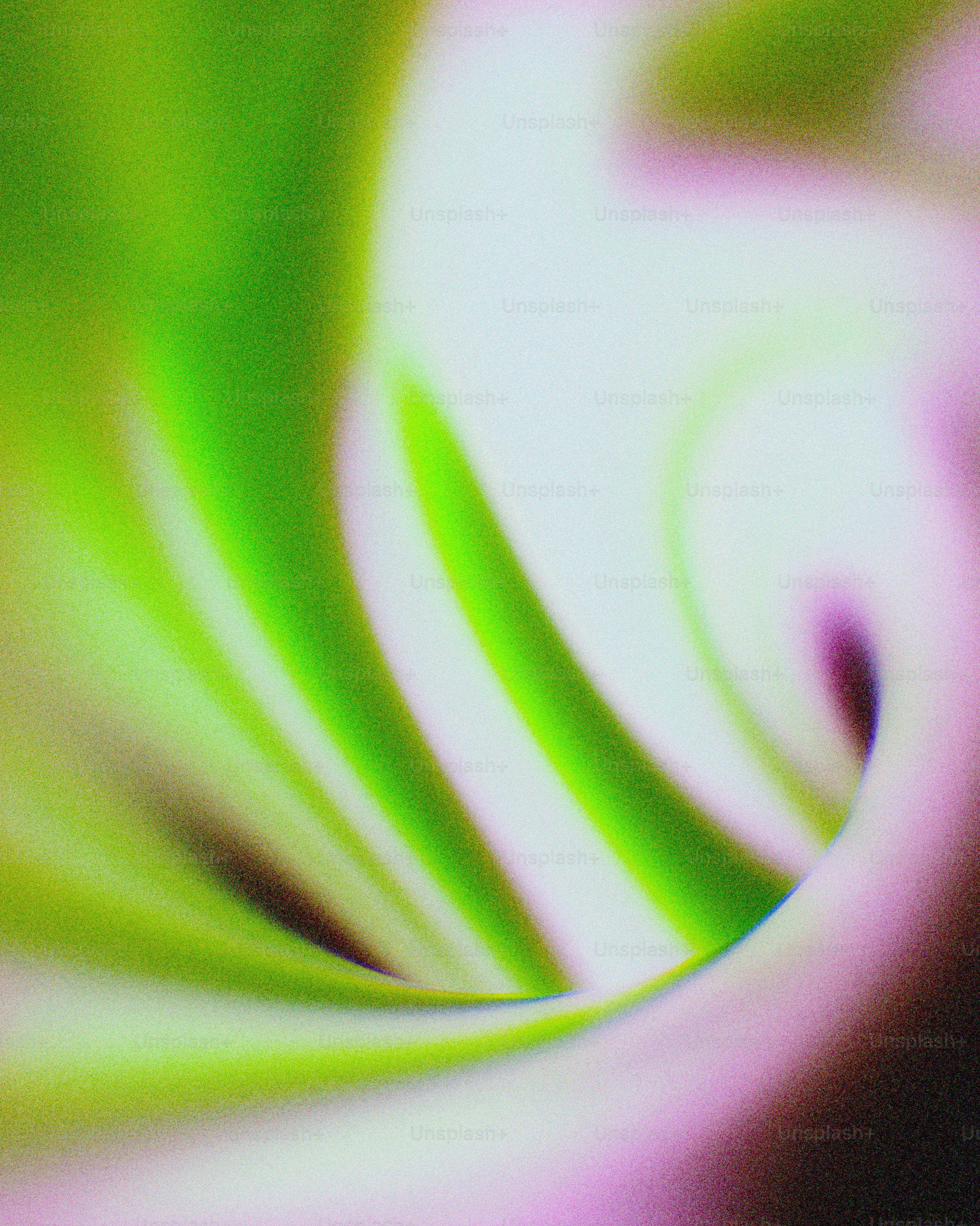 Abstract swirl of green and pink hues.