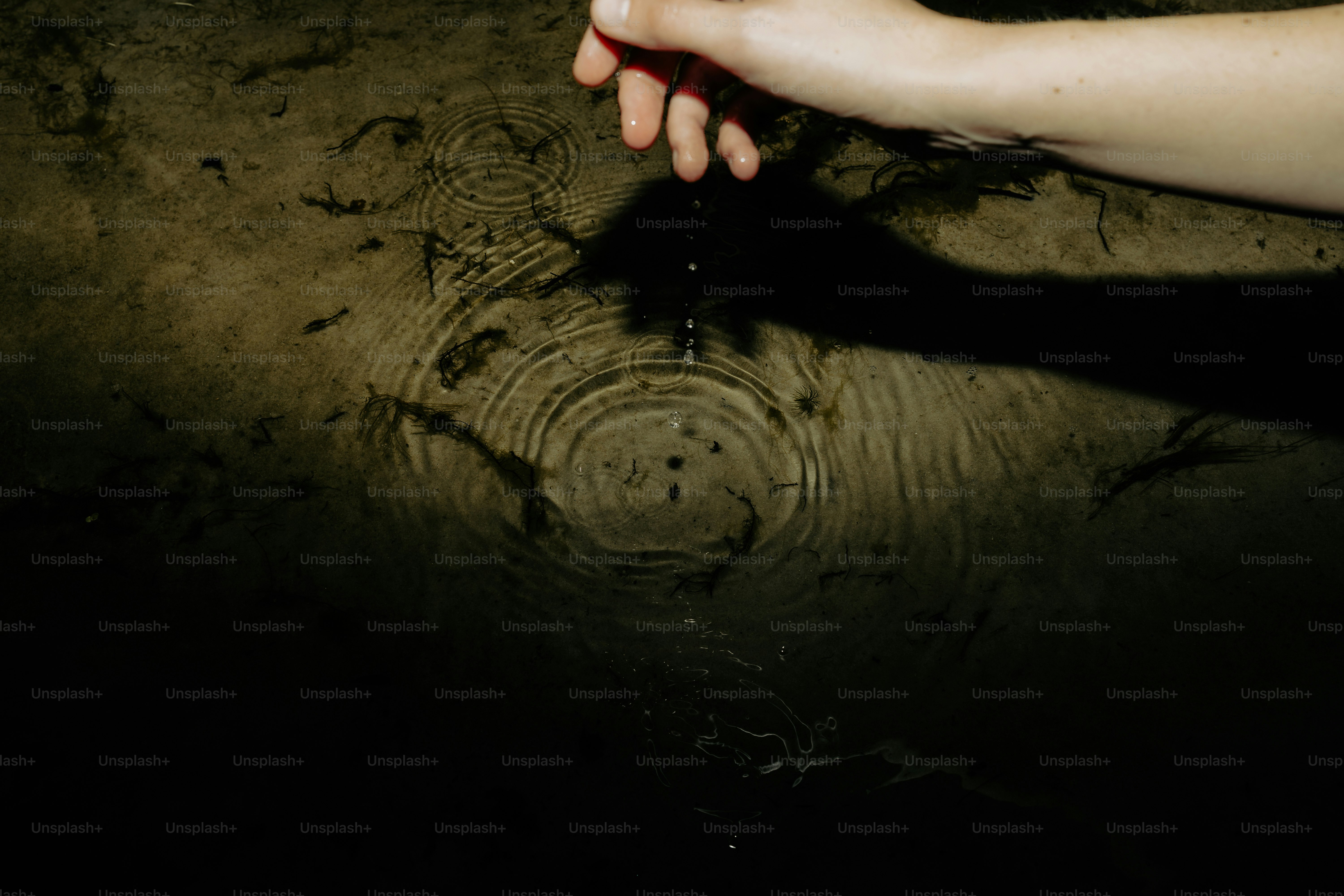 A hand drops water into a still pond.