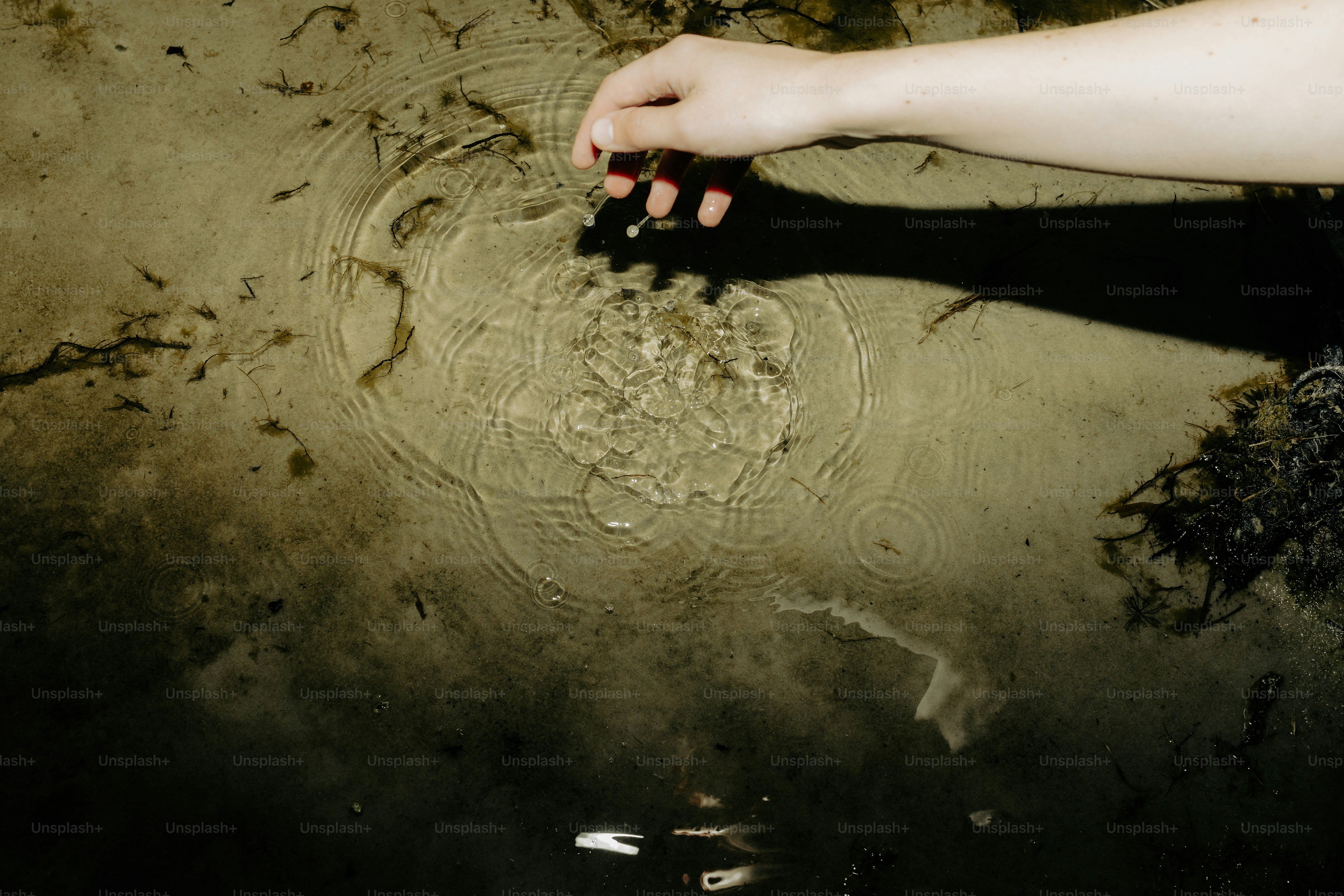 Hand creating water ripples in a pond. photo – Hand Image on Unsplash