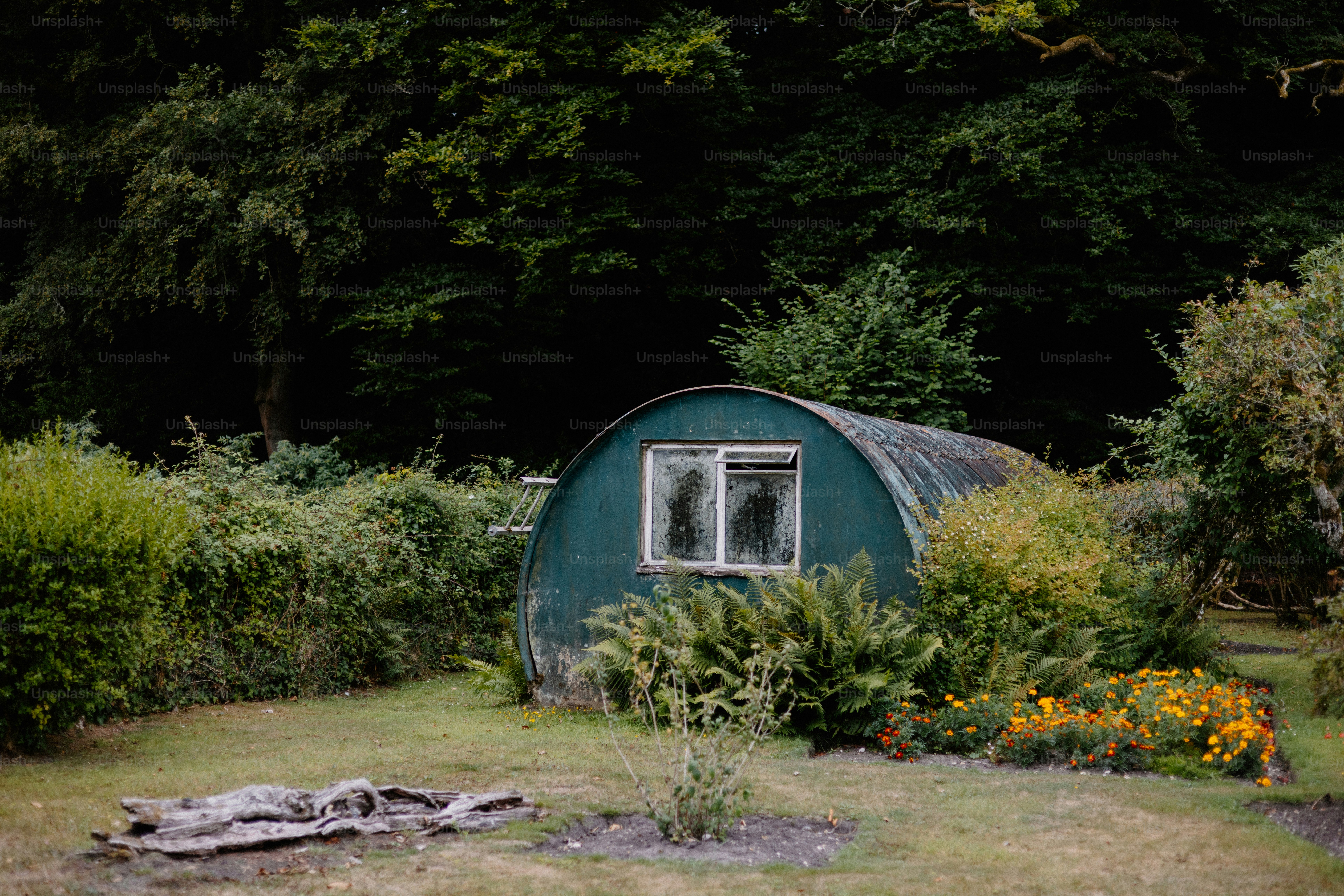 A green greenhouse sits in lush vegetation.
