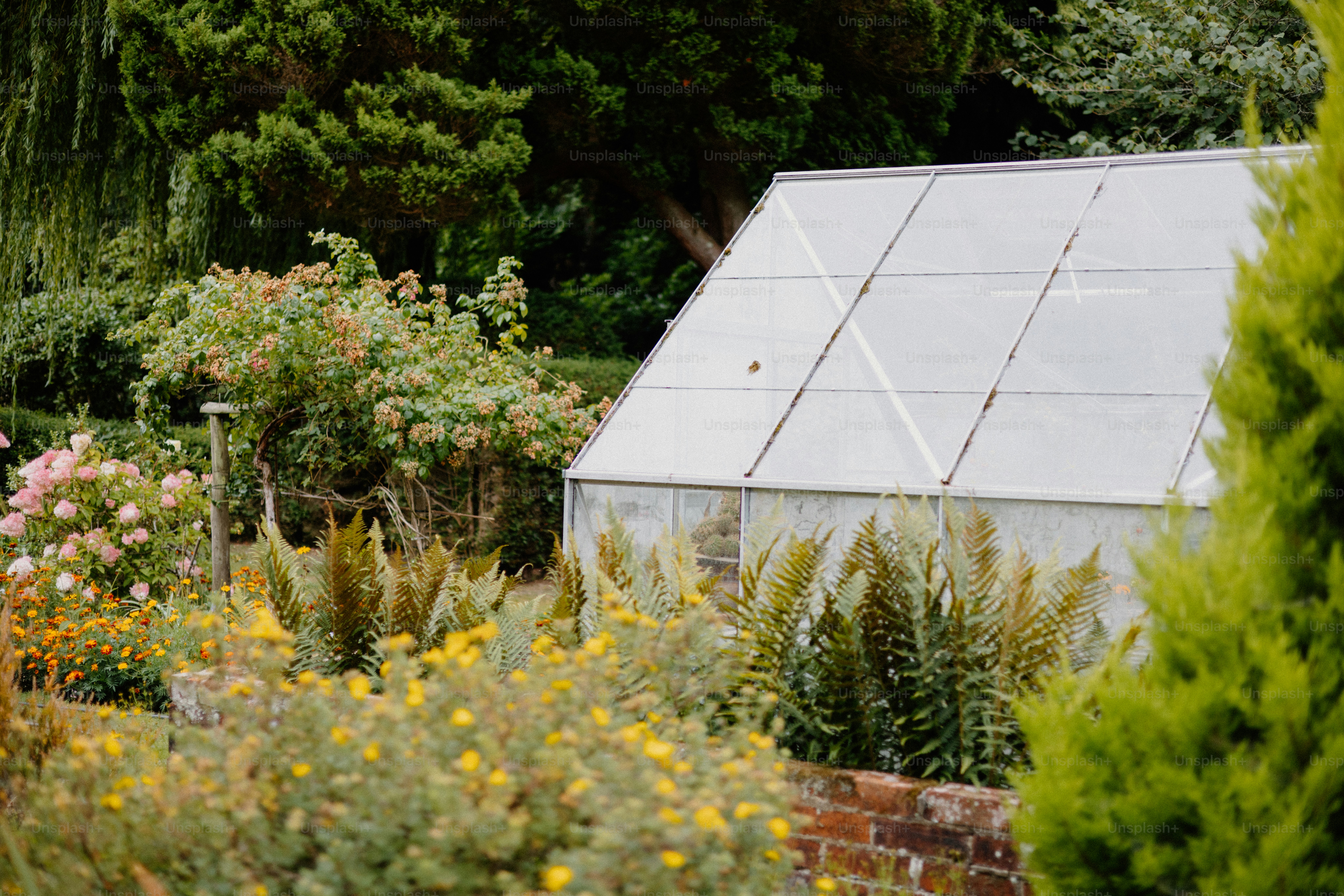 A greenhouse sits among lush, blooming plants.