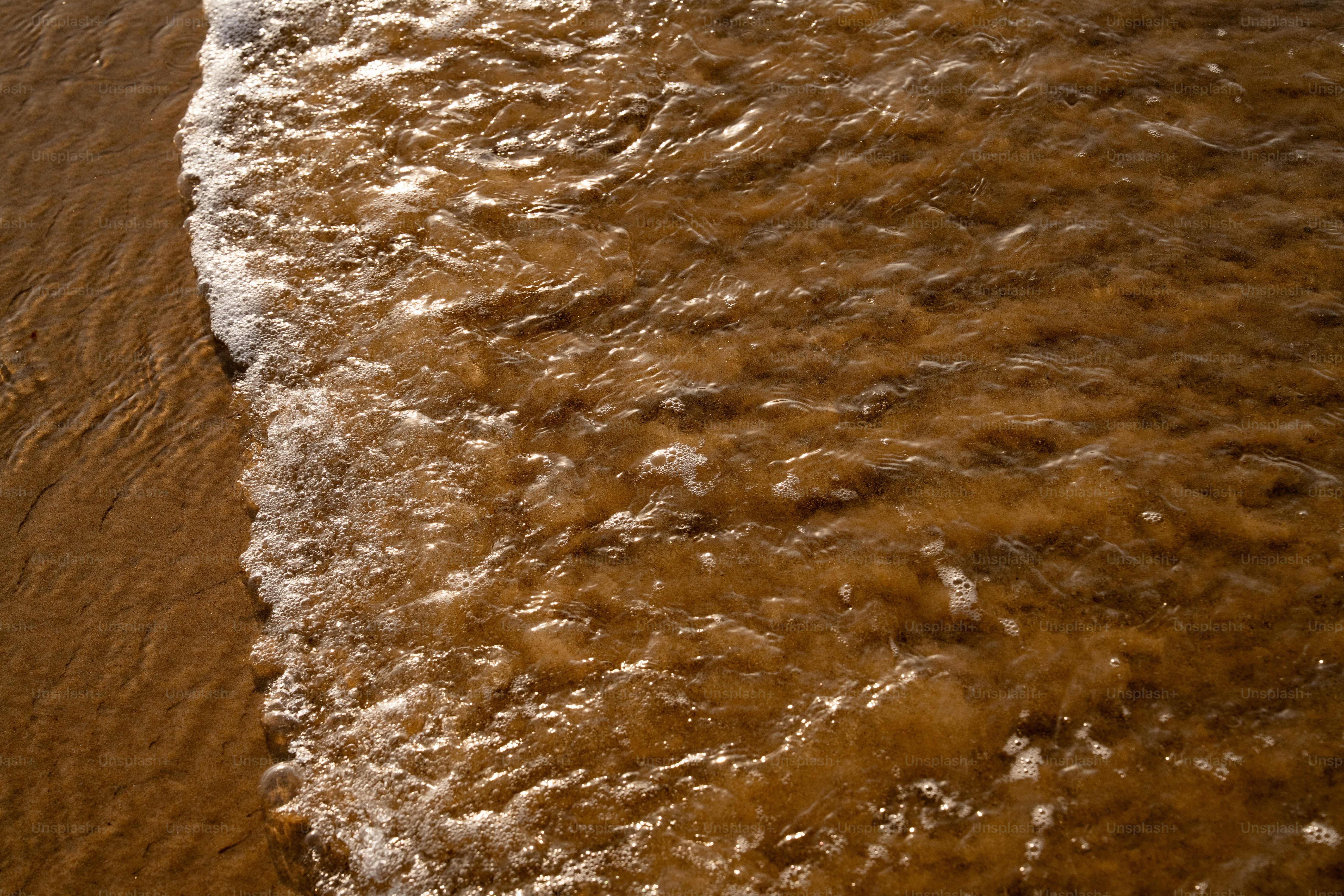 Waves gently wash over a sandy shore.