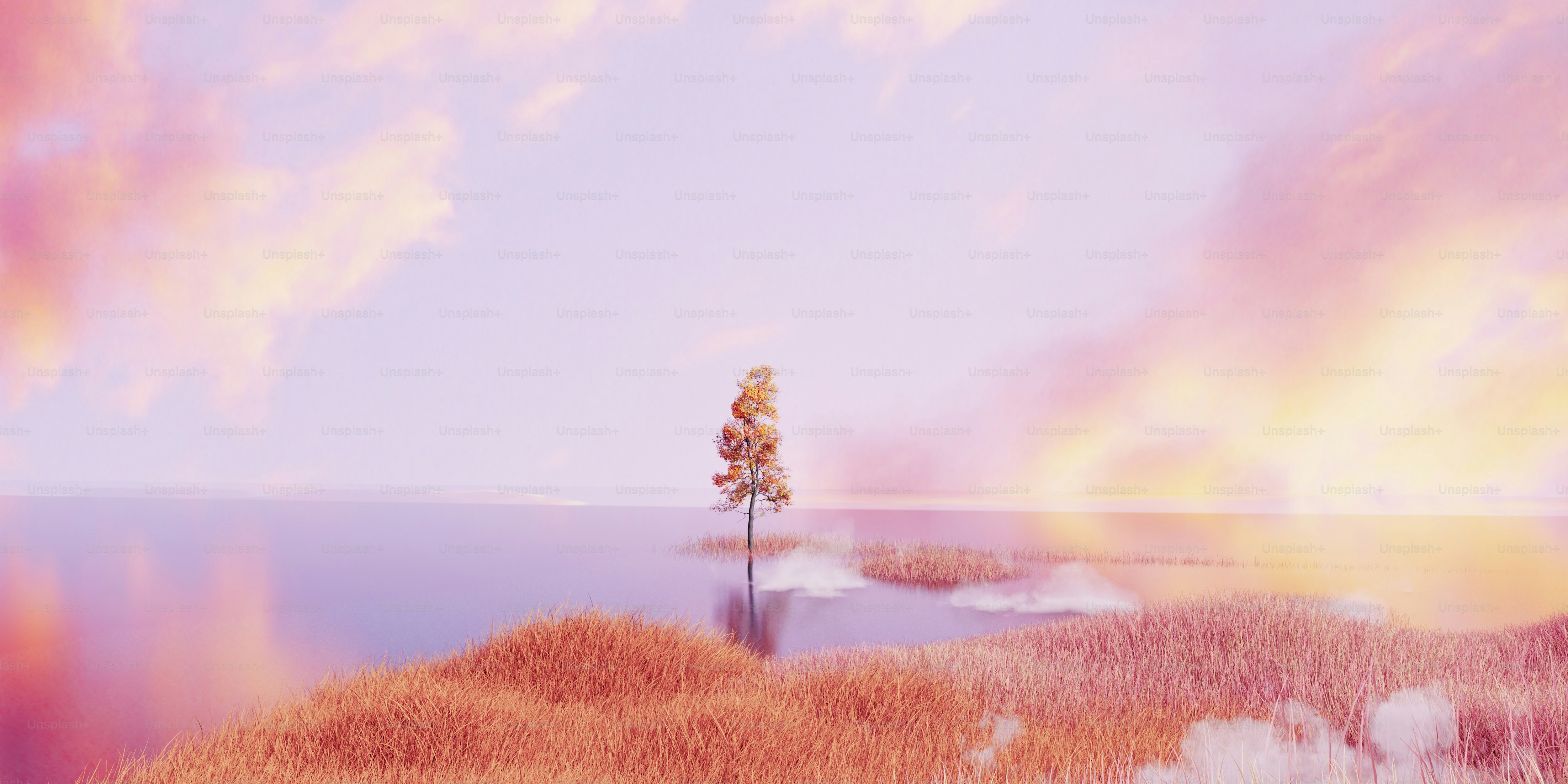 自然写真家 ハンヌハウタラ 写真集 Nature in the Kalevala 念願のアフリカに行ってきました〜！ ケニアのナイバシャ湖