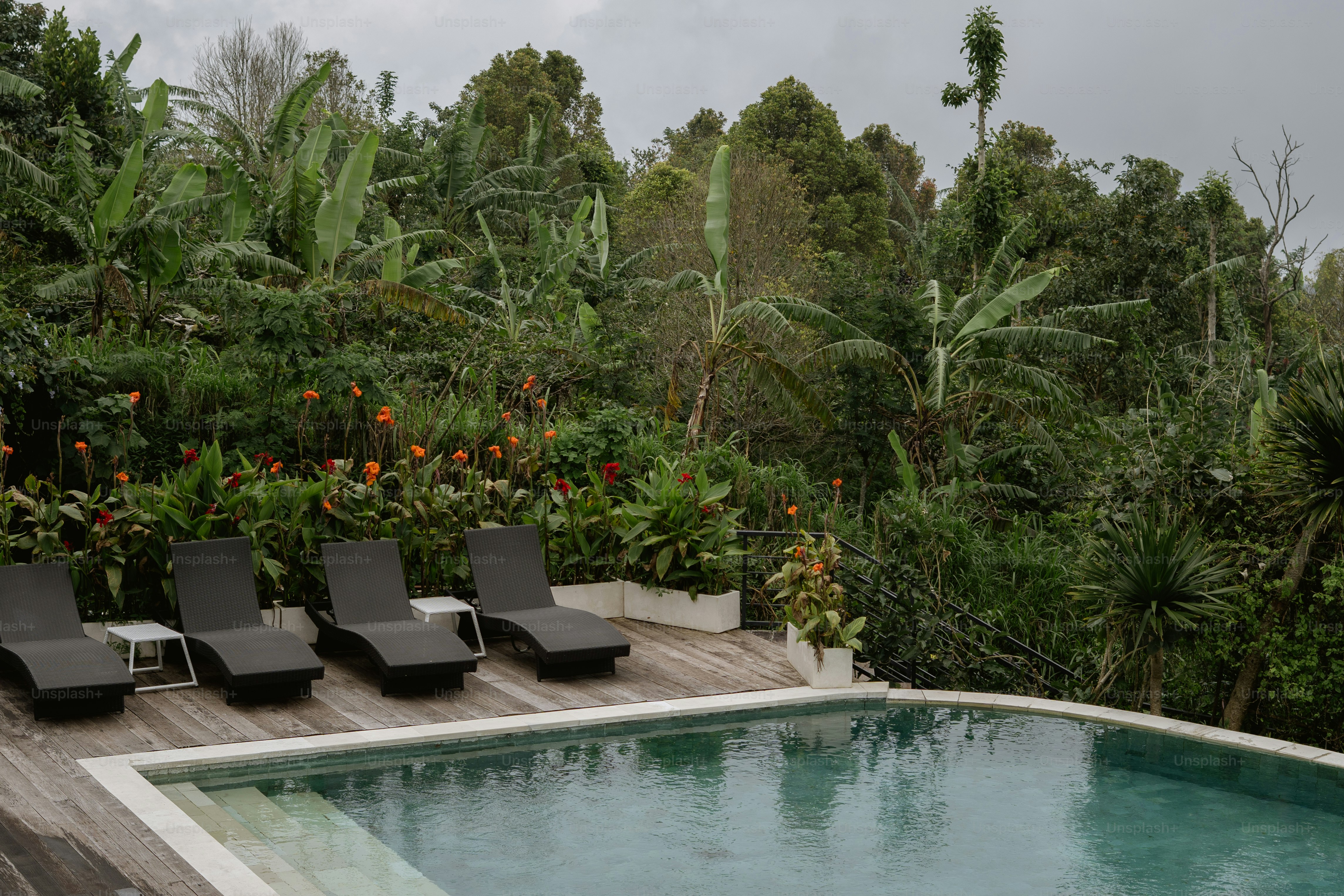 Lounge chairs by a pool overlook lush foliage.