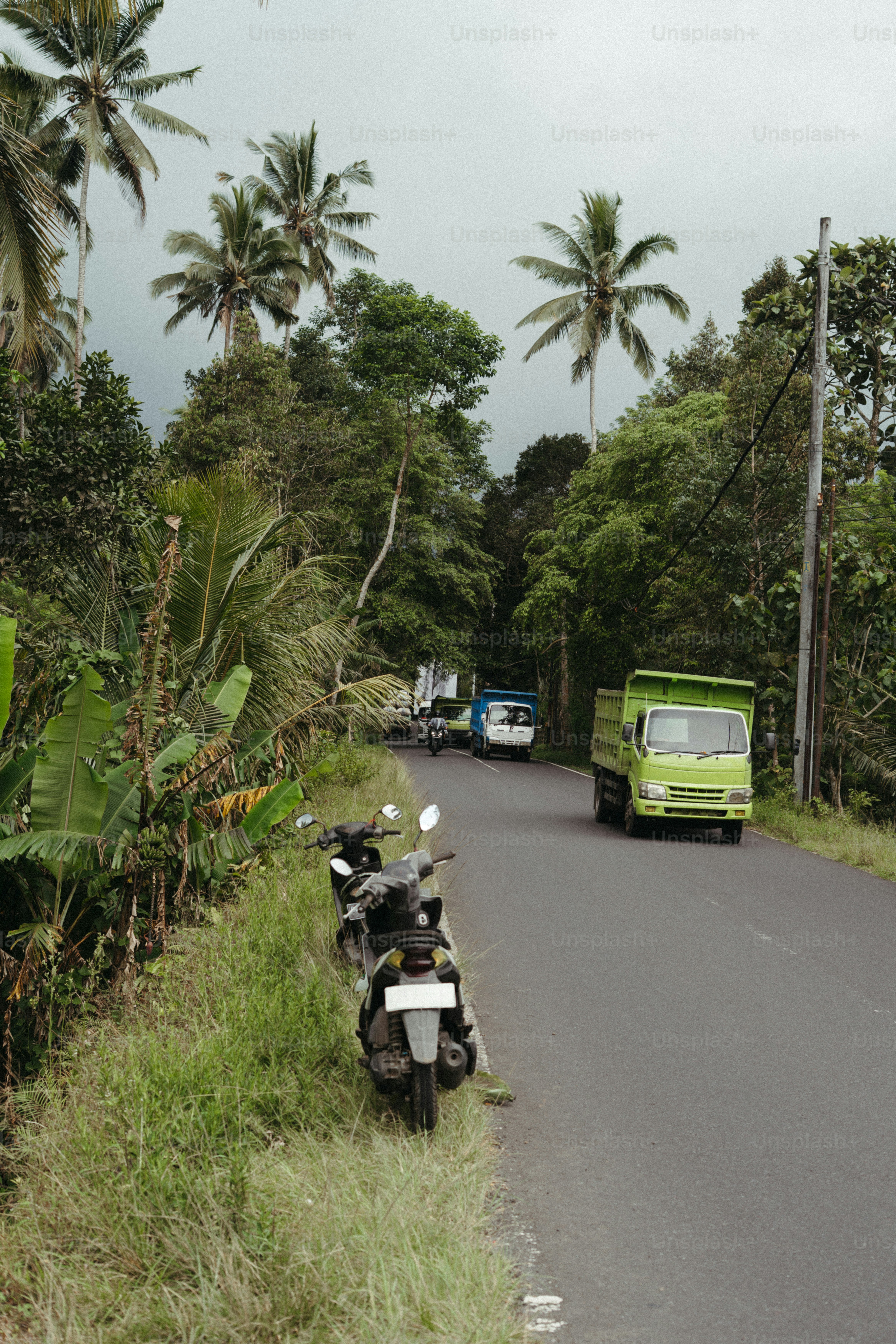 Motorräder parken neben einer Straße mit Bäumen und Fahrzeugen.