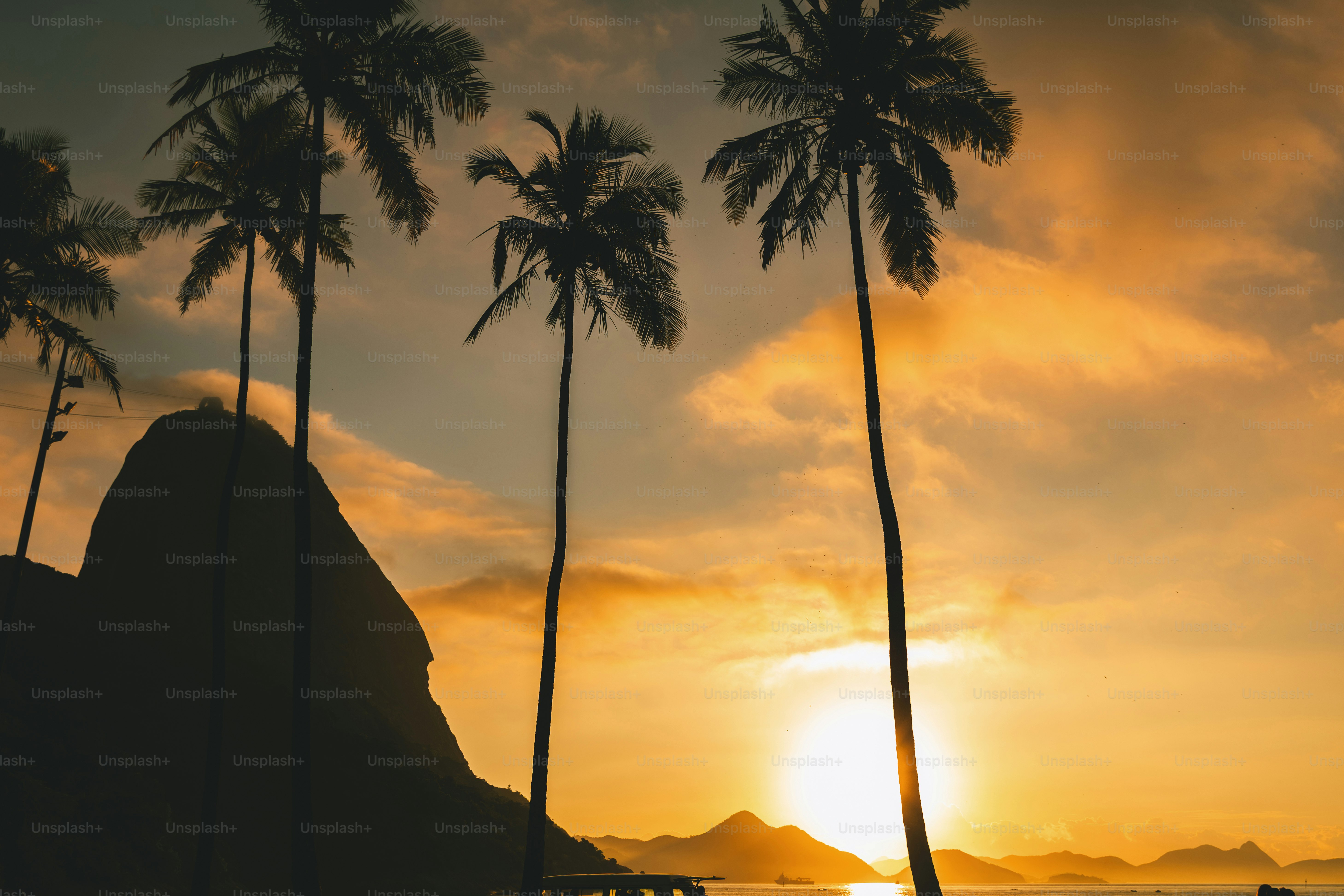 Palm trees silhouette a gorgeous sunset.