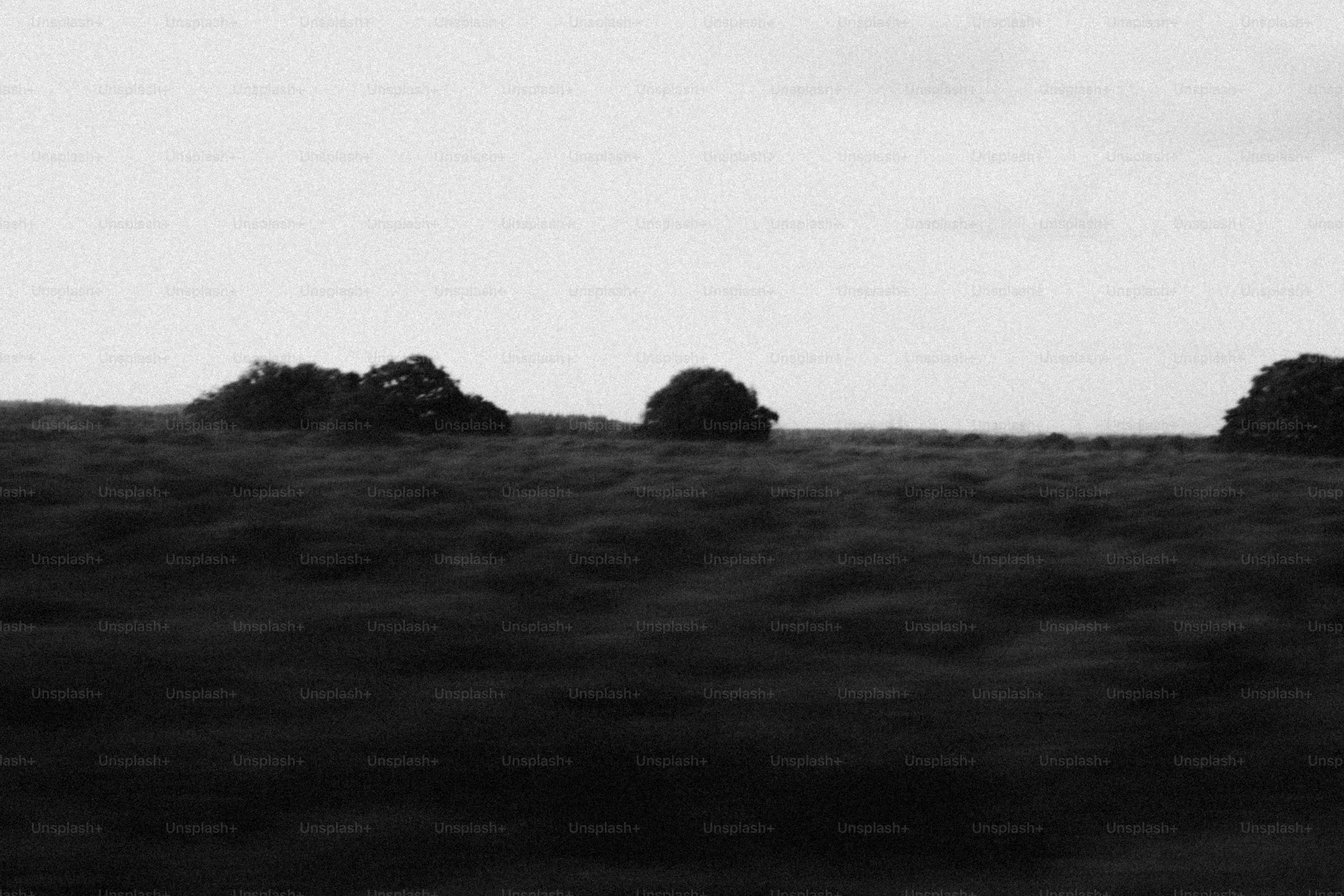 Un campo oscuro con un cielo borroso.