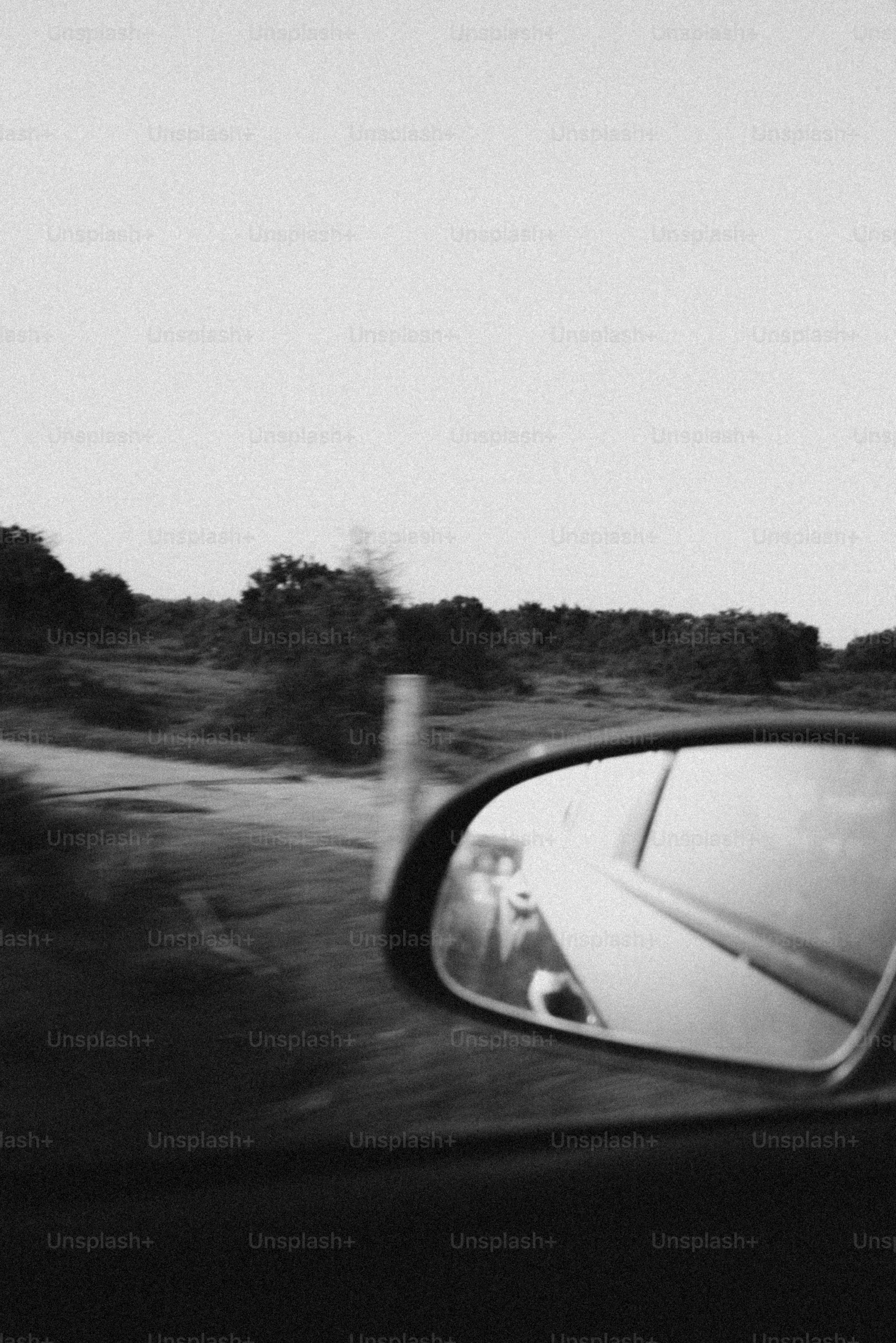 El camino detrás: un reflejo en el espejo.