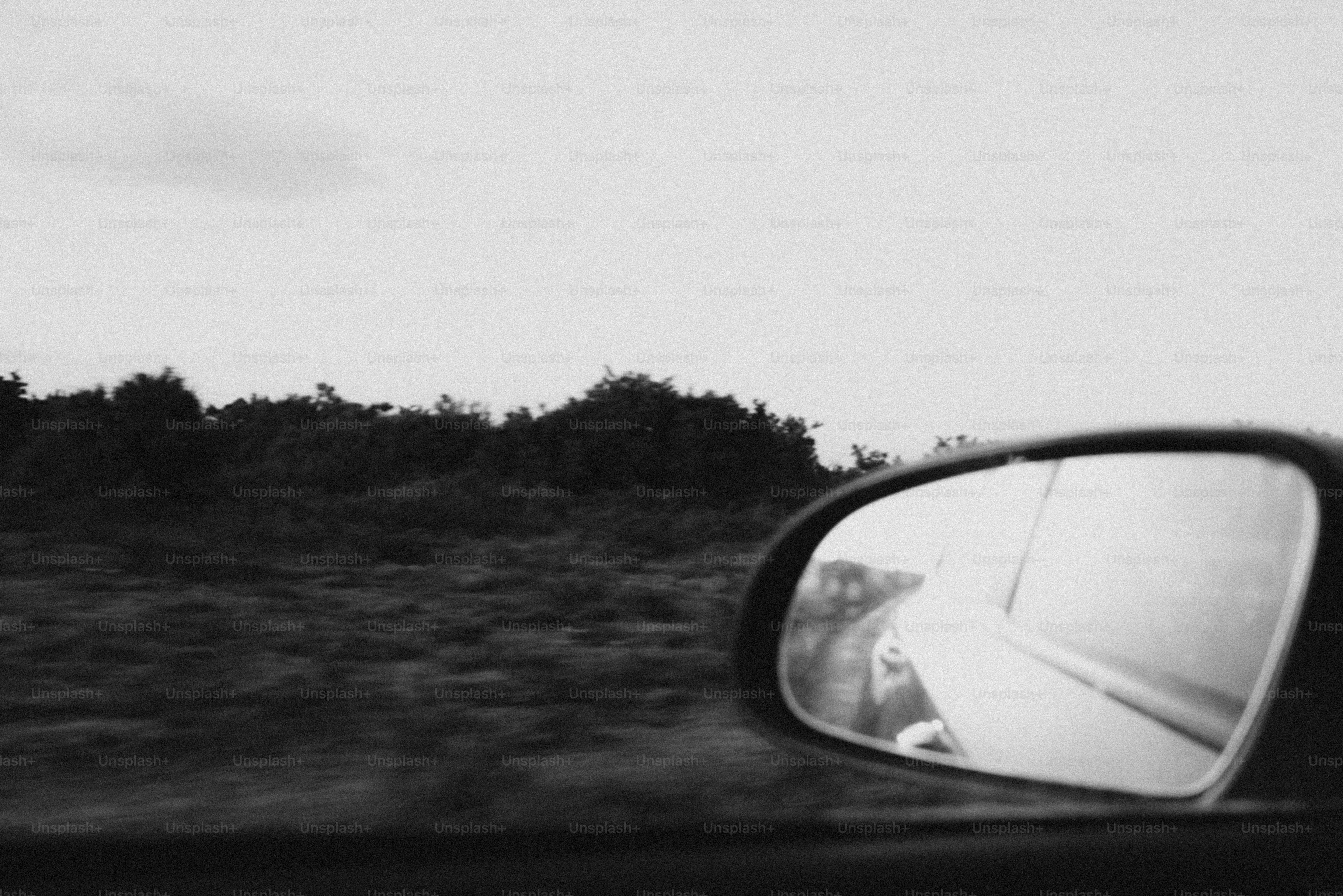 El espejo lateral de un automóvil que refleja el paisaje que pasa.