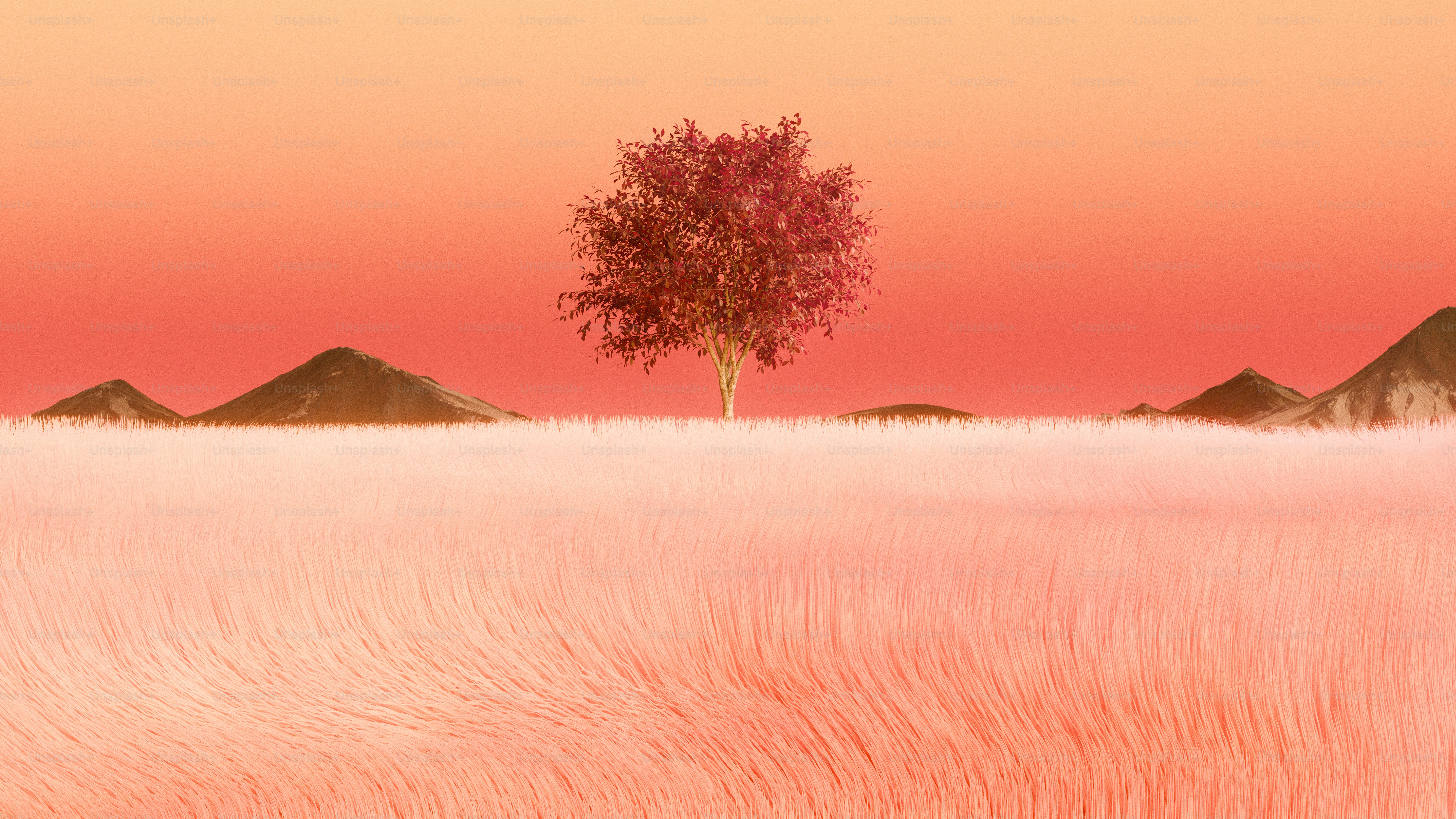 A solitary tree stands in a field of tall grass. photo – Autumn Image ...