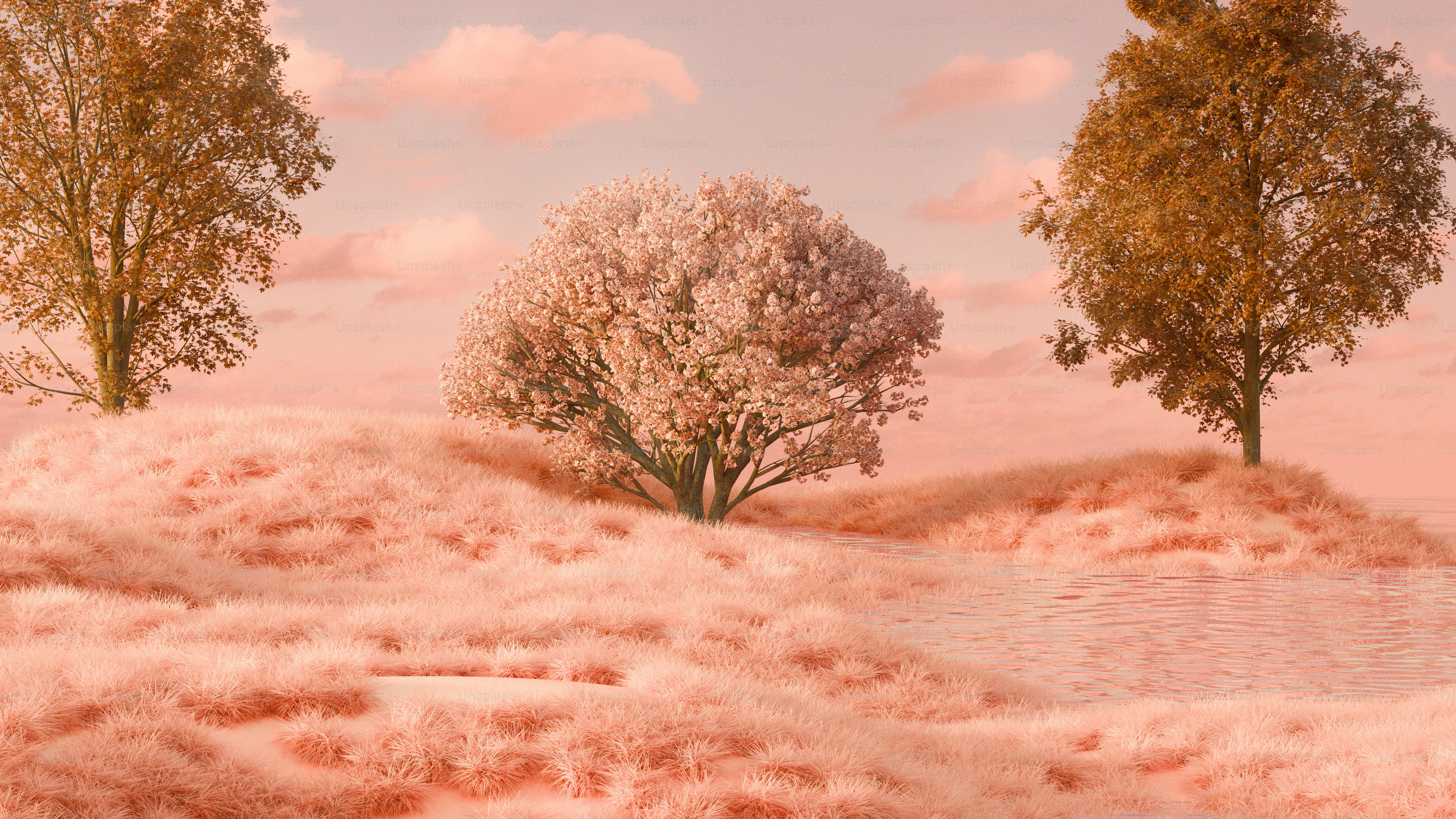 J'ai parcouru (à pied et à vélo) plus de 500 miles de sentiers en  Virginie-Occidentale en 2024 ! Voici quelques moments forts. : r/hiking, image size:3000x1688