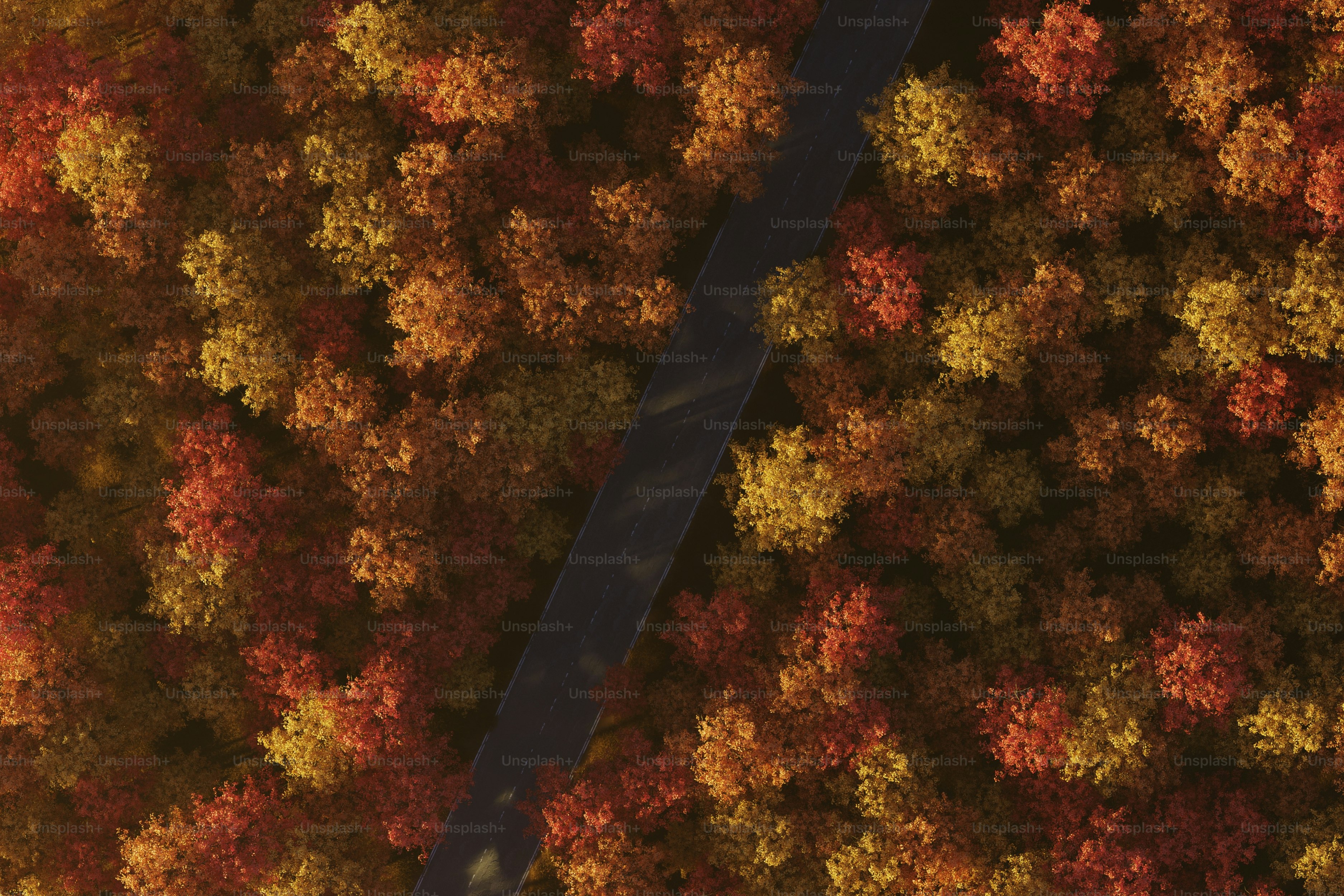 Aerial view of a road through autumn forest