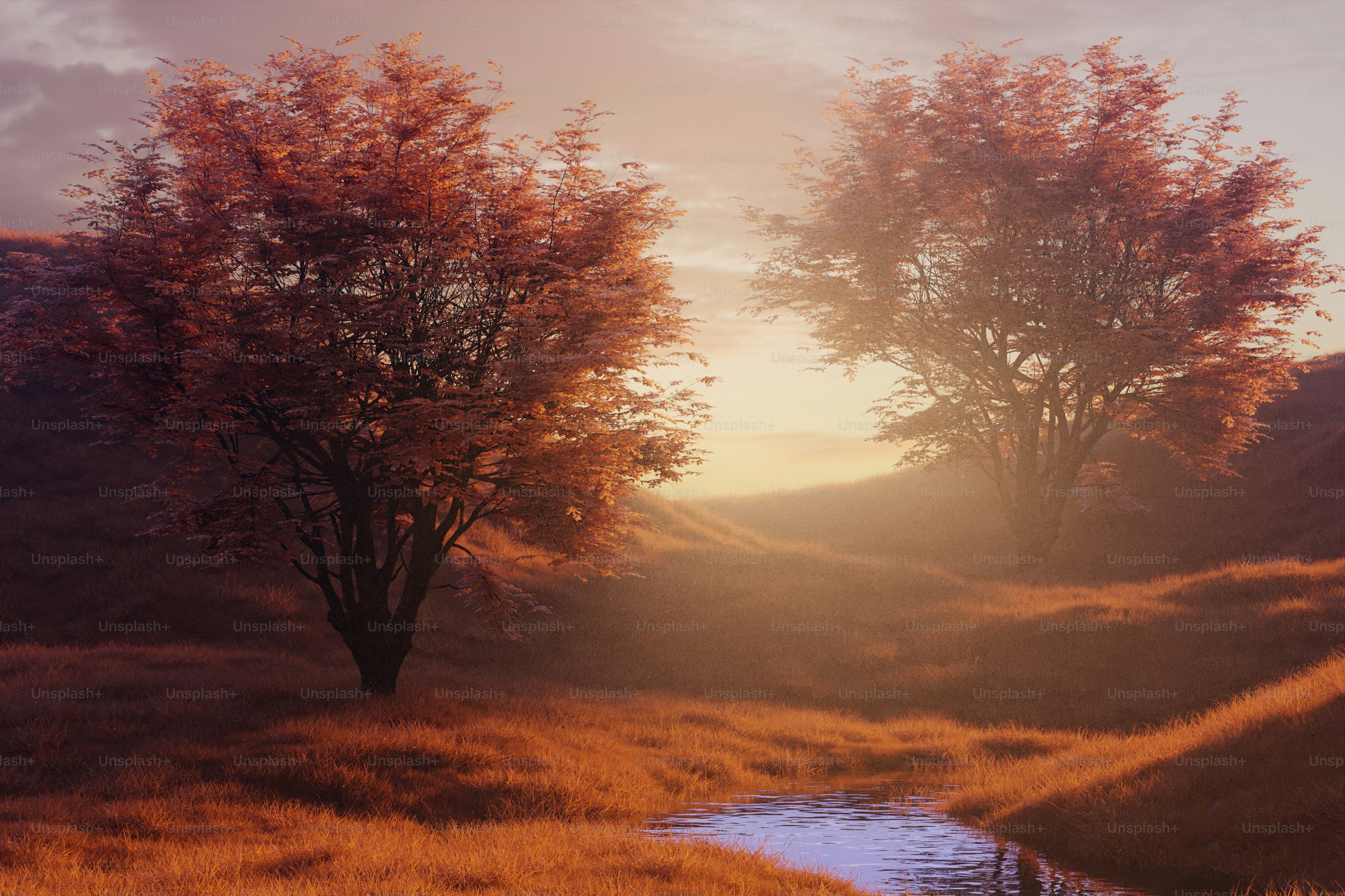 Two trees with orange leaves beside a stream photo – Forest Image on ...