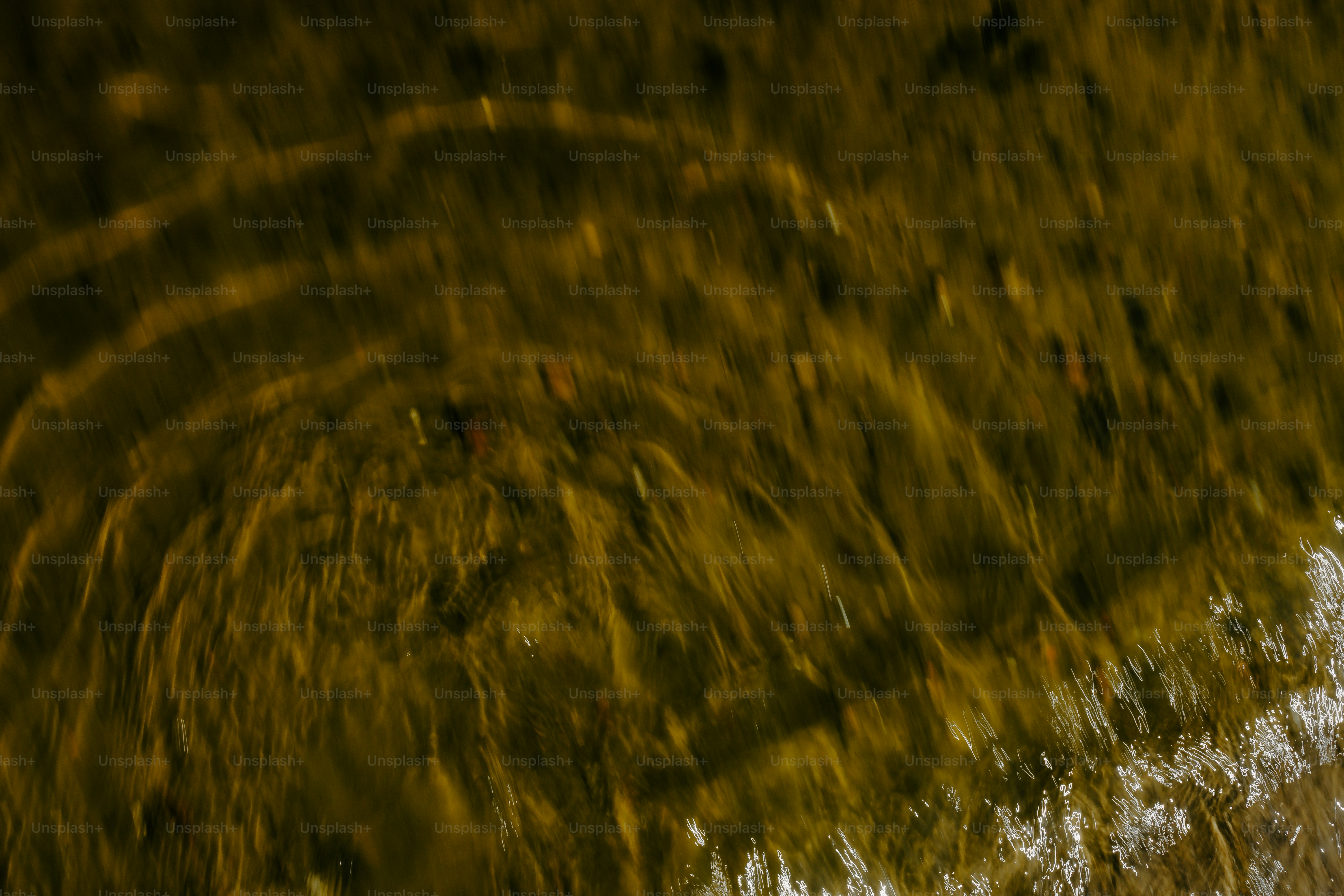 Circles on the water on a sunny day