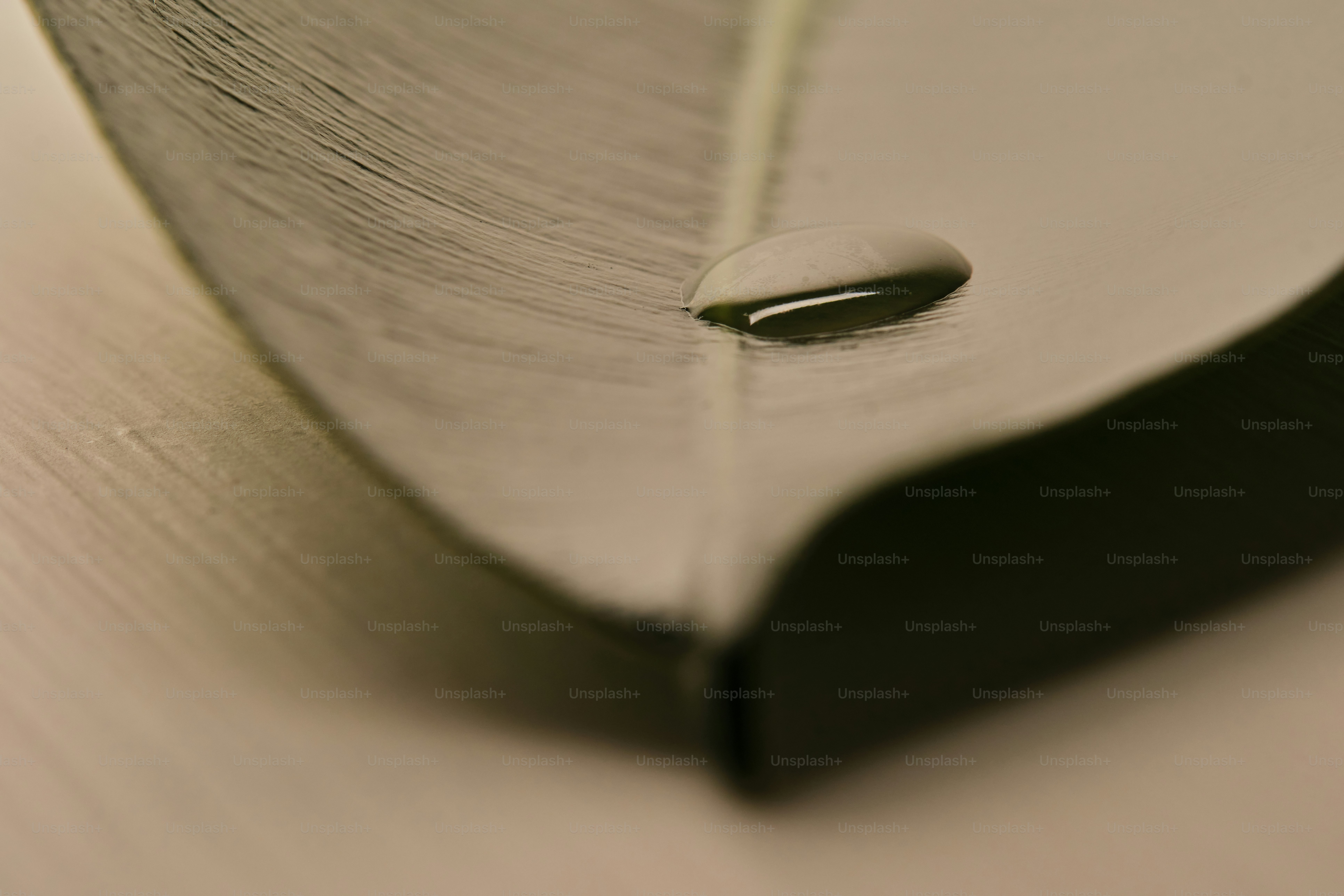 Close-up of a dark green and white curved object
