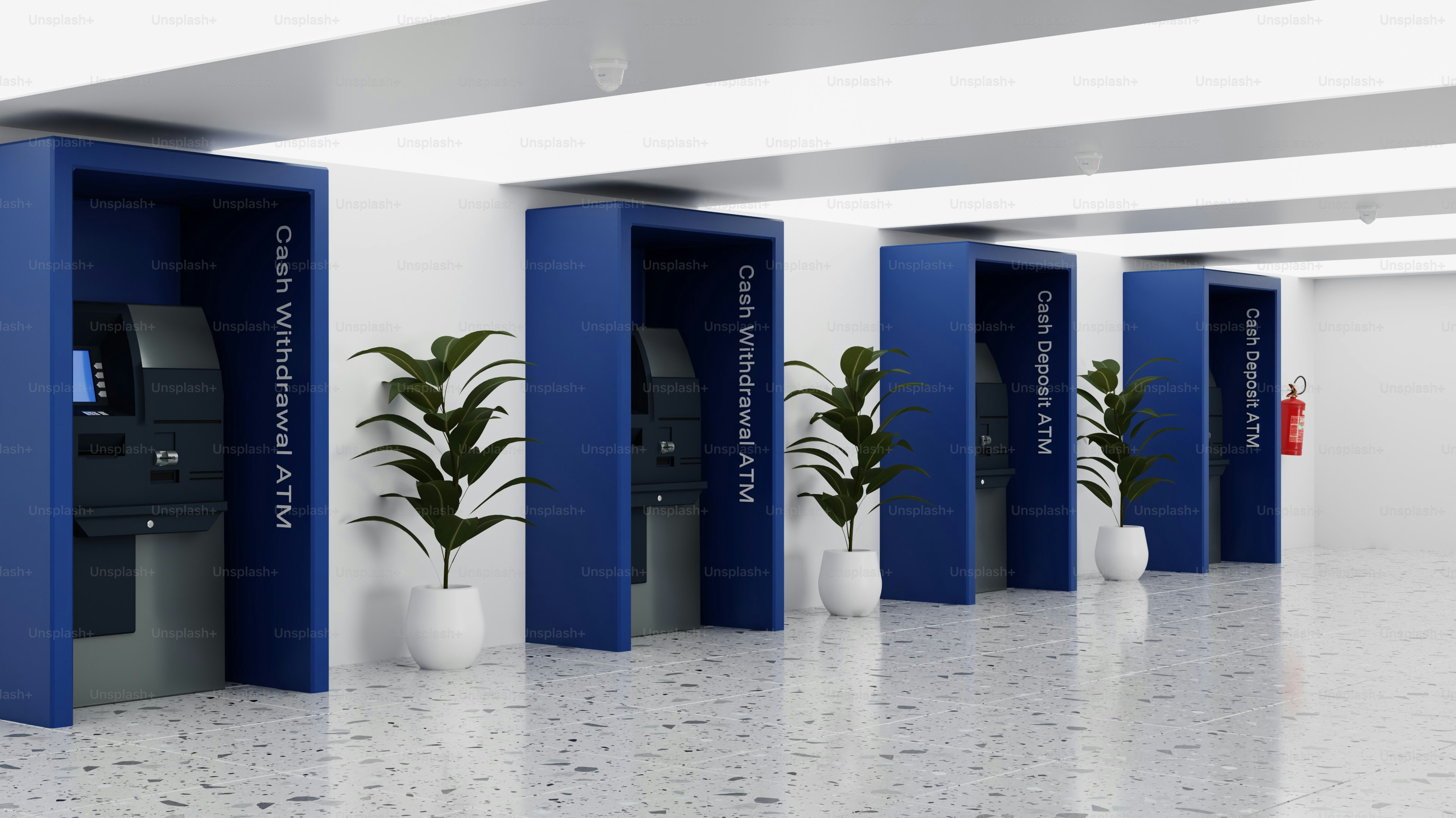 廊下に植物が植えられたモダンな青い出入り口