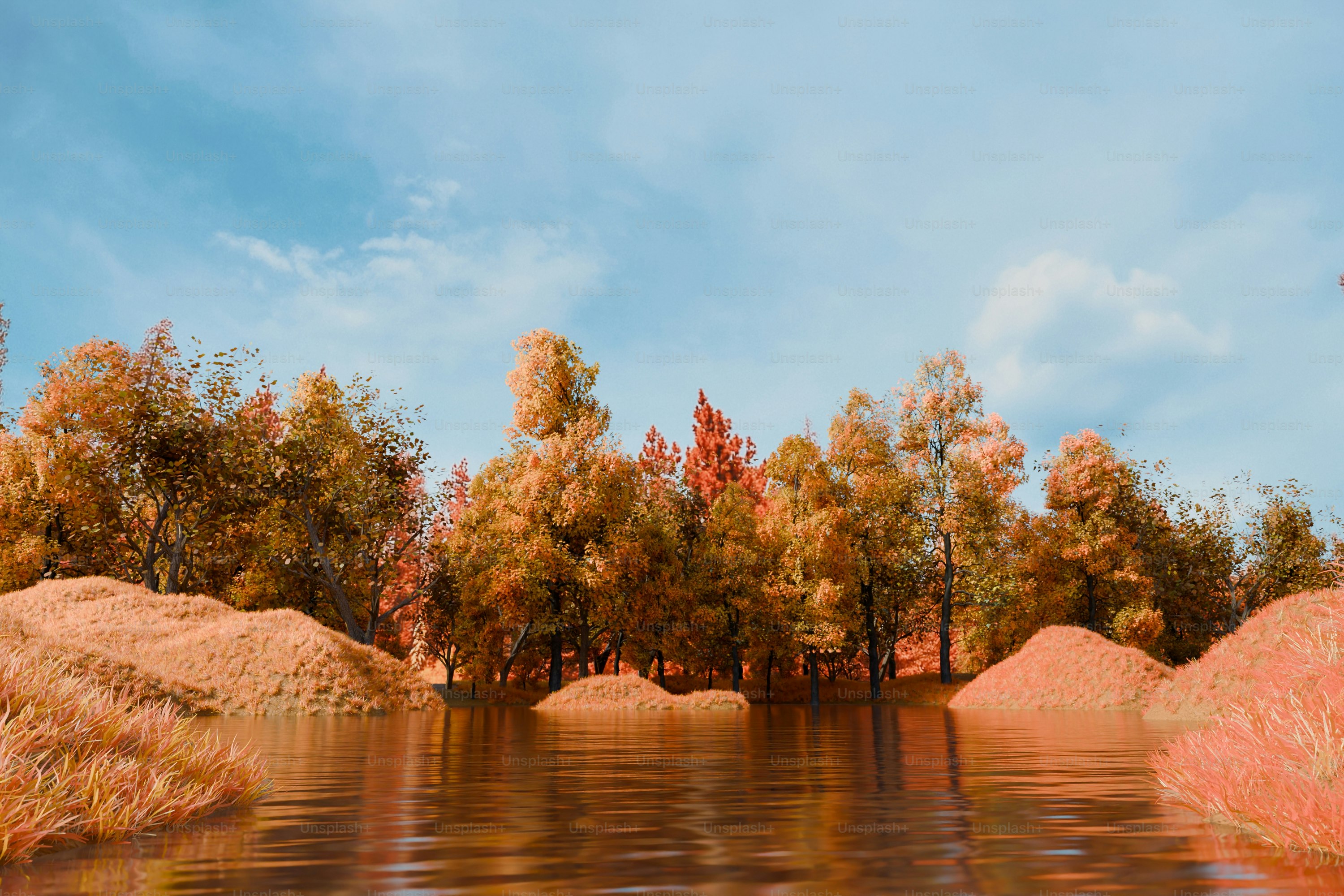 Autumn tree beside a calm lake at sunset photo – Autumn Image on Unsplash