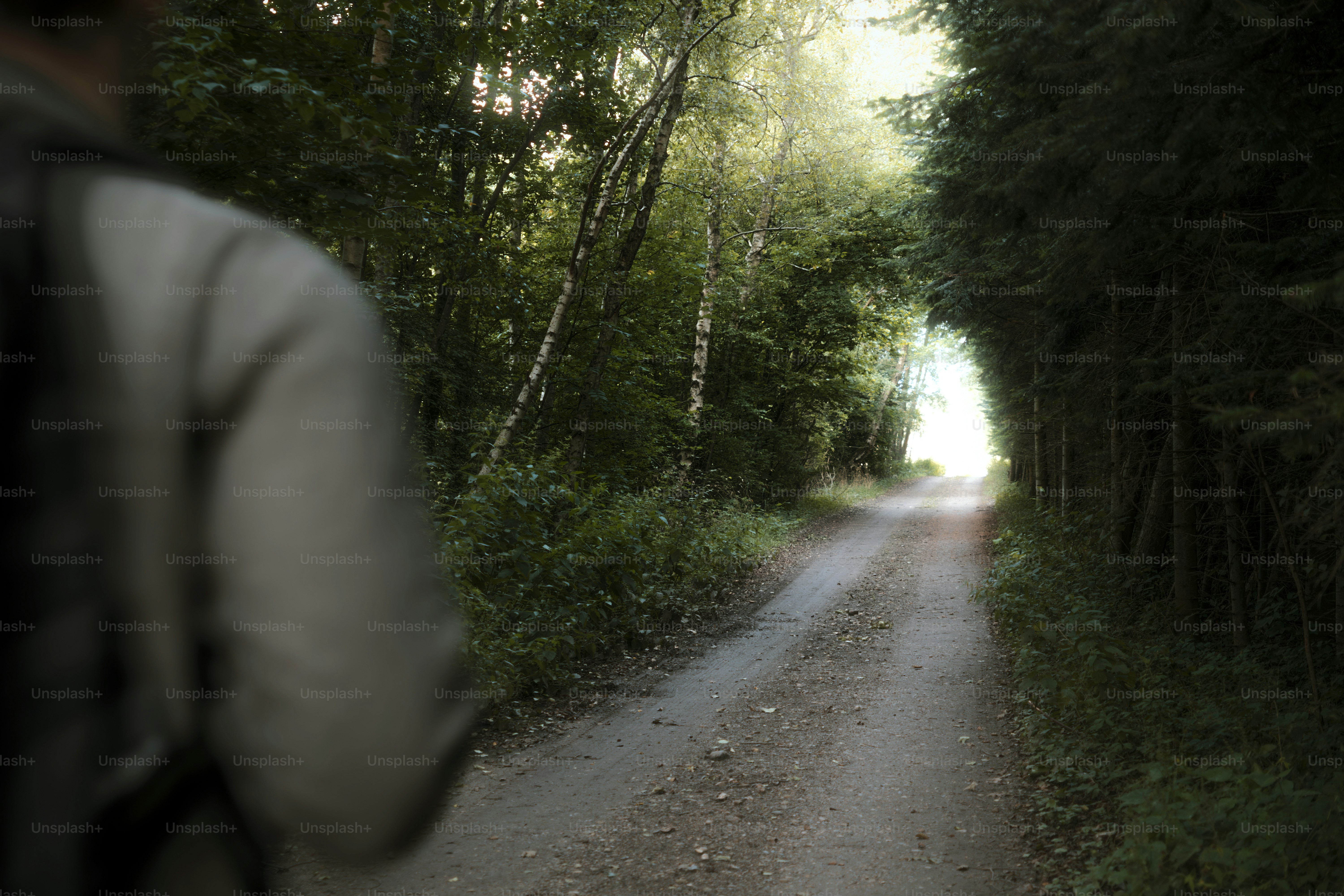 Persona che cammina su un sentiero sterrato tra gli alberi