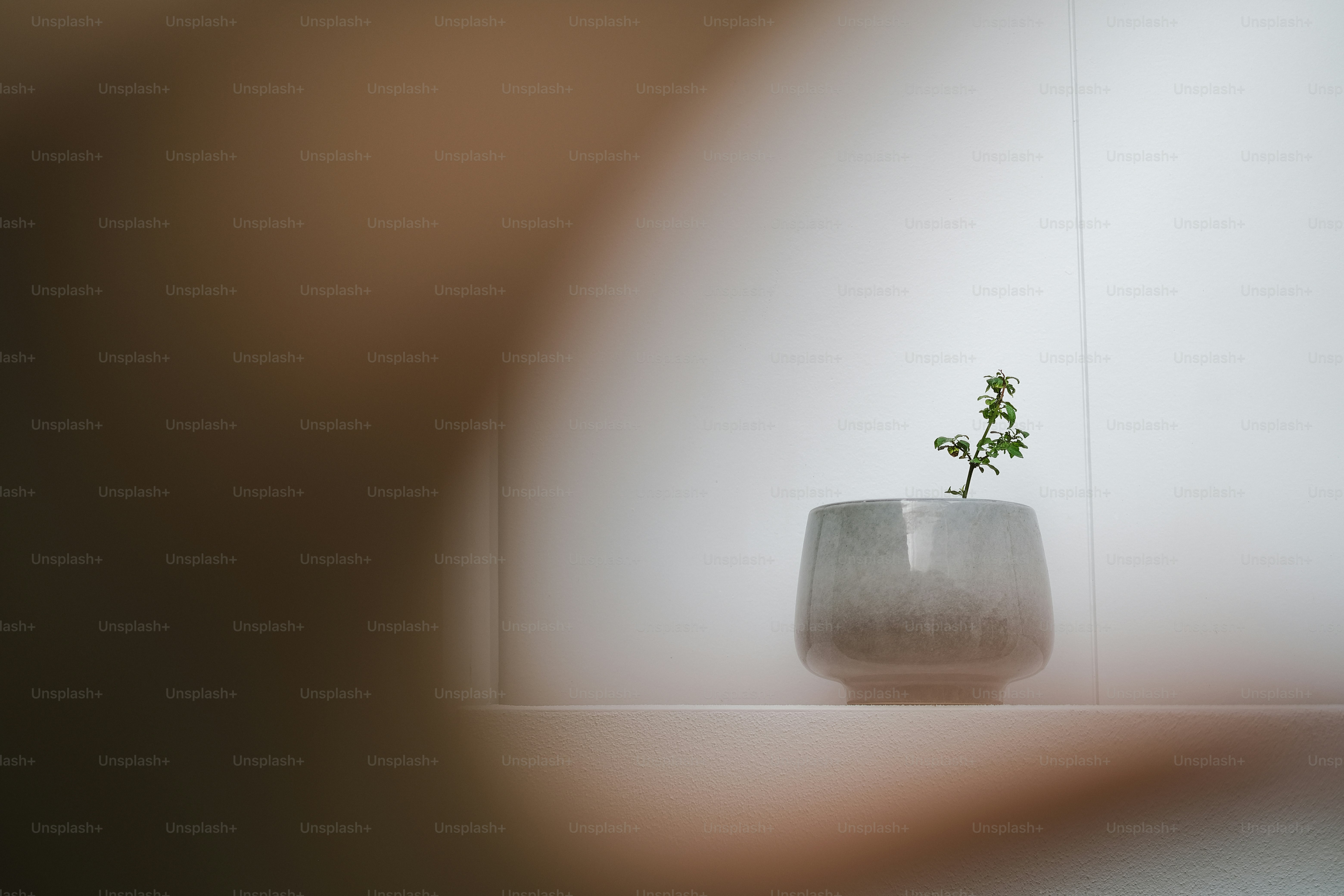 小さな金属製の物体から成長する小さな植物