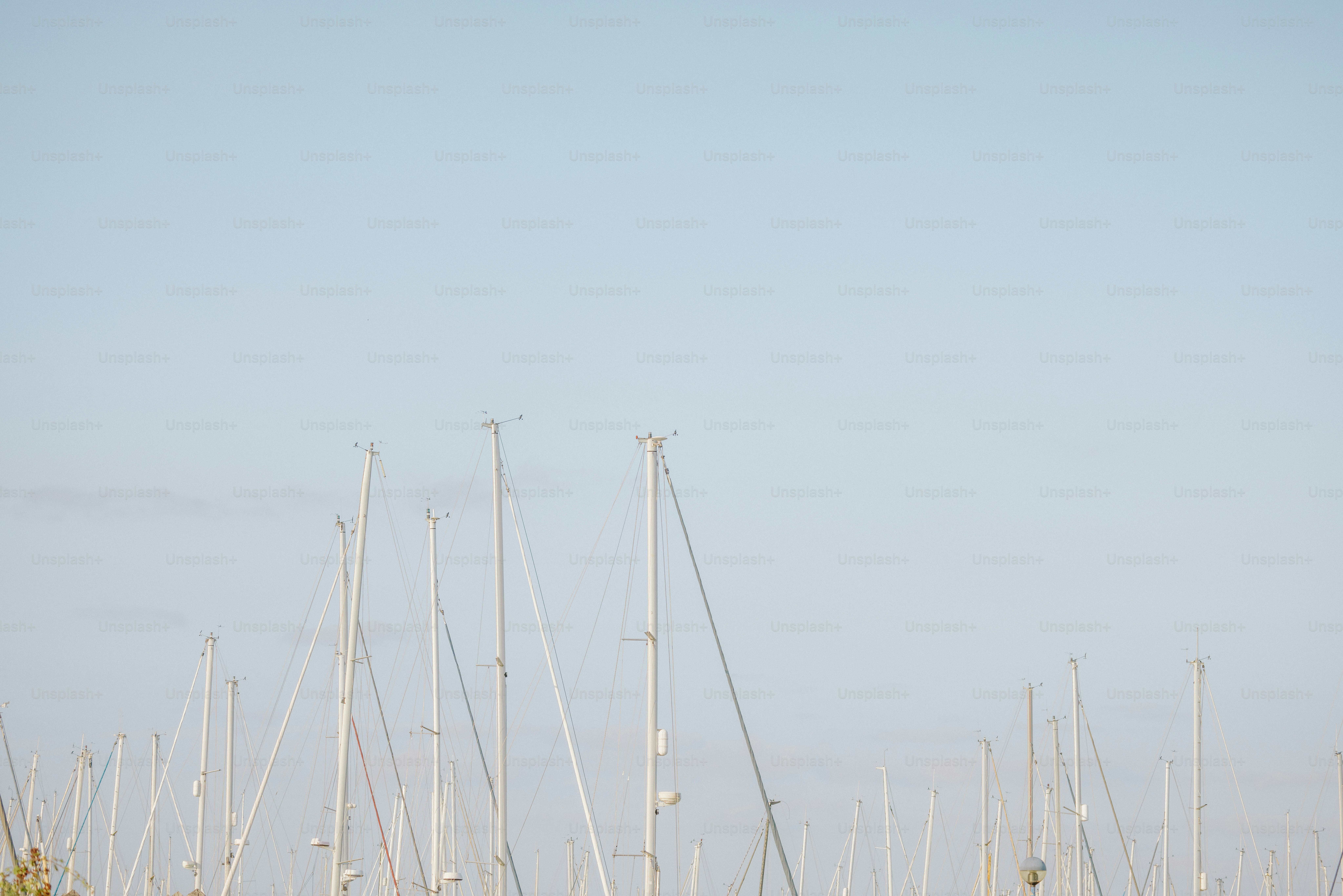 Sailboats docked under a clear sky