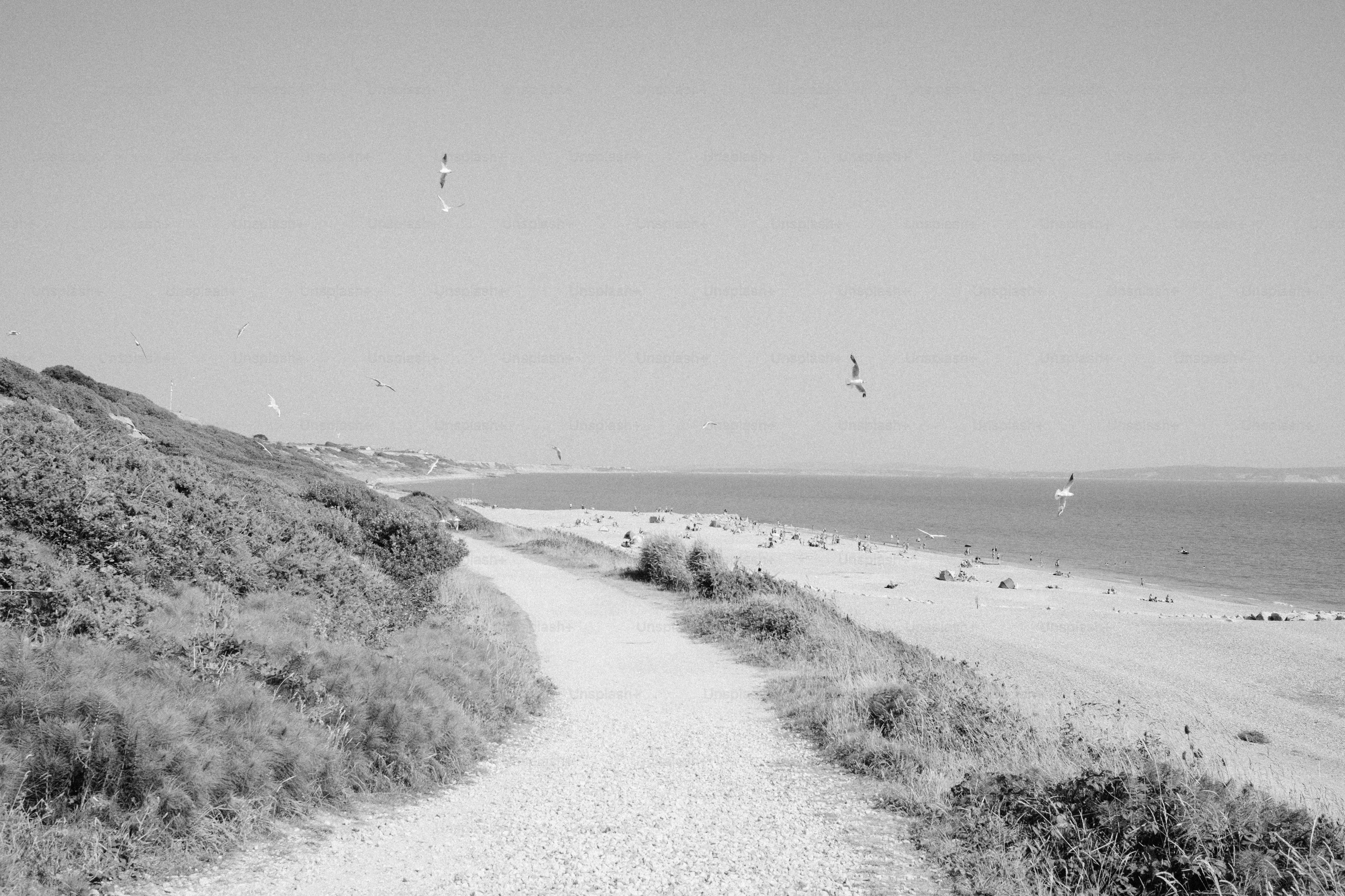 Coastal path leads to a sandy beach and ocean.