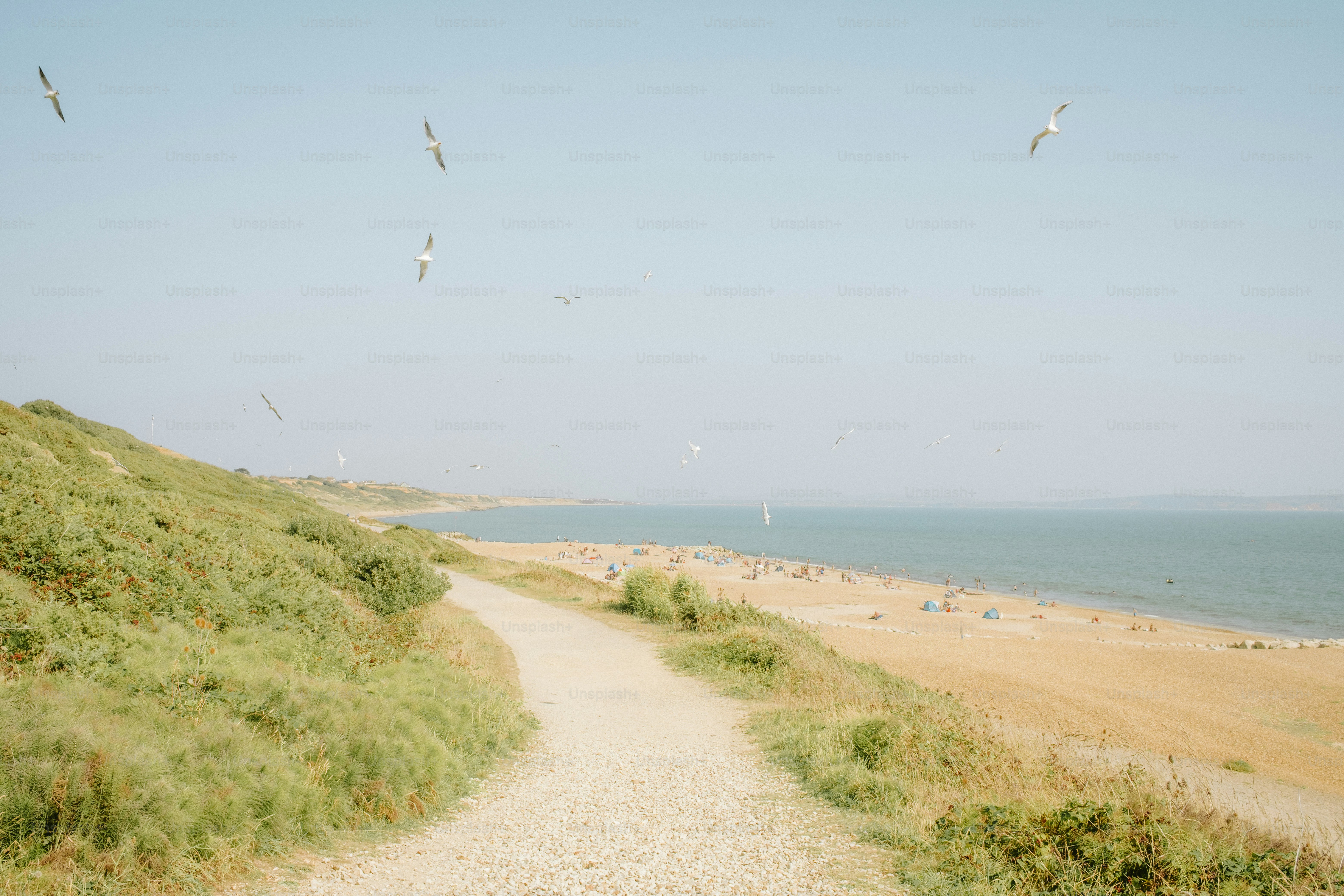 Sandy path leads to a calm ocean beach. photo – Beach Image on Unsplash