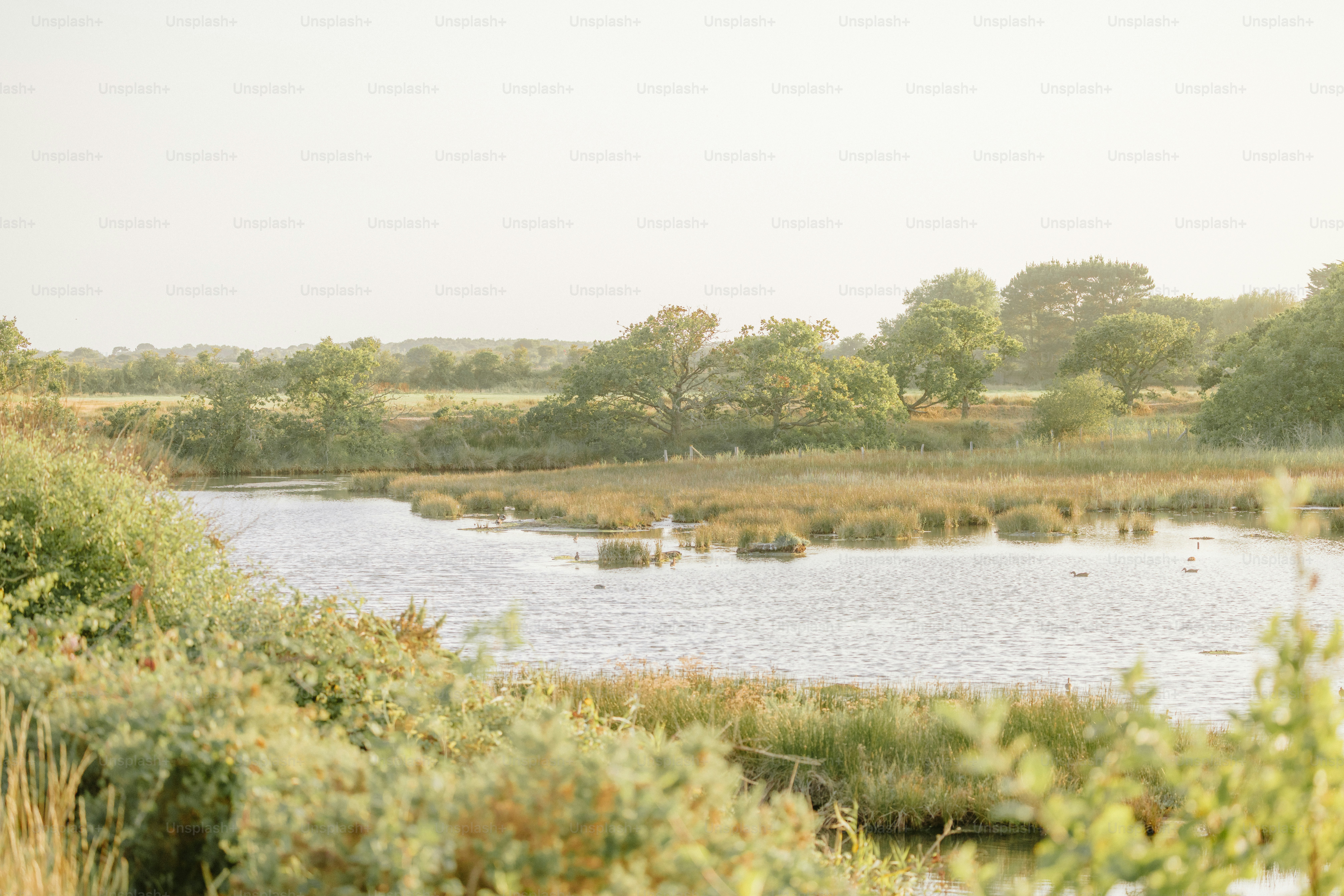 Serene landscape with a calm lake and greenery