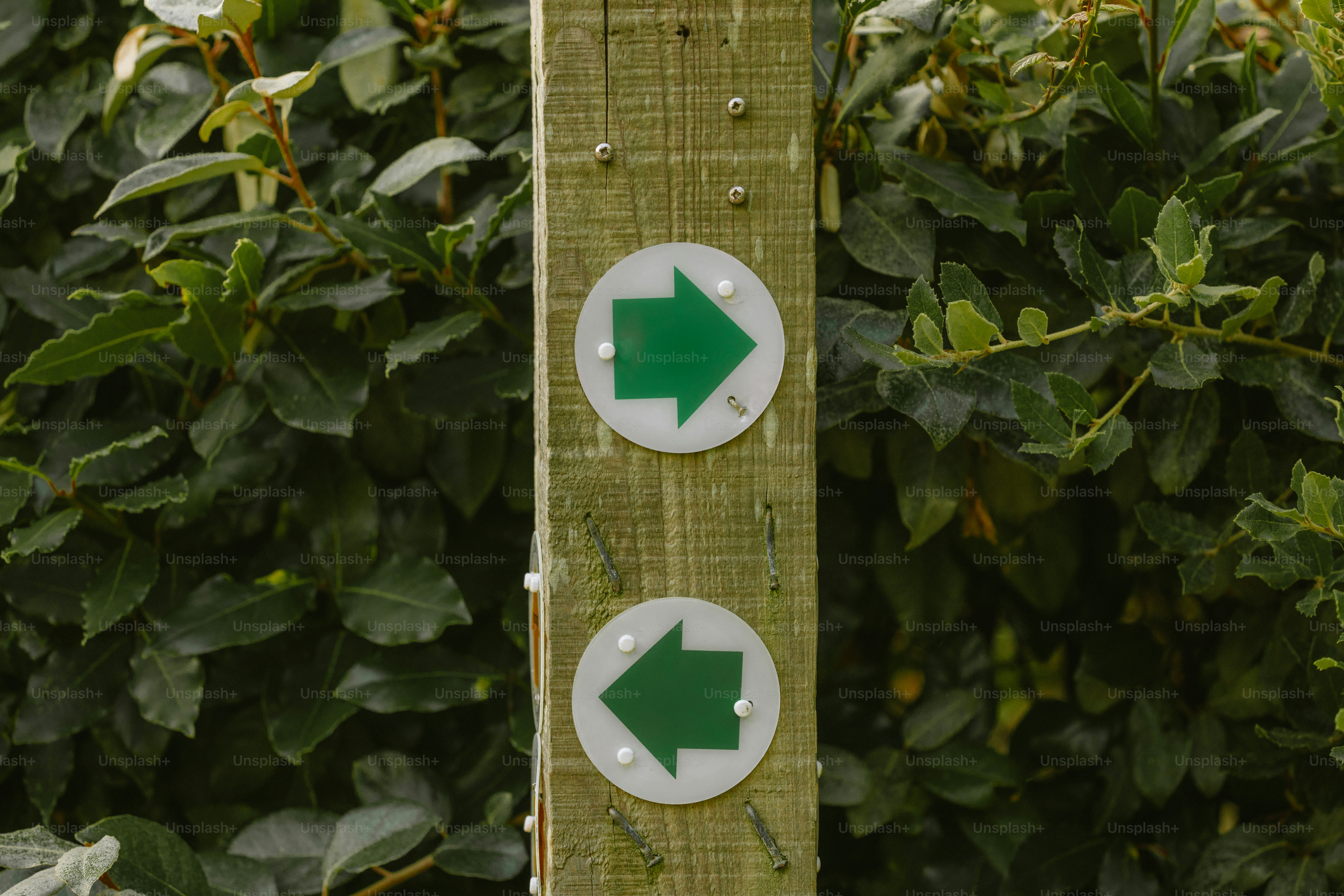 Wooden post with green directional arrows